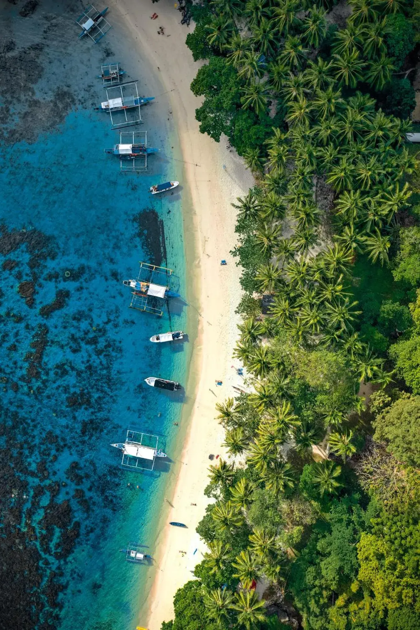 Bird's eye view, Bird's-eye View in Villa Israel Ecopark El Nido