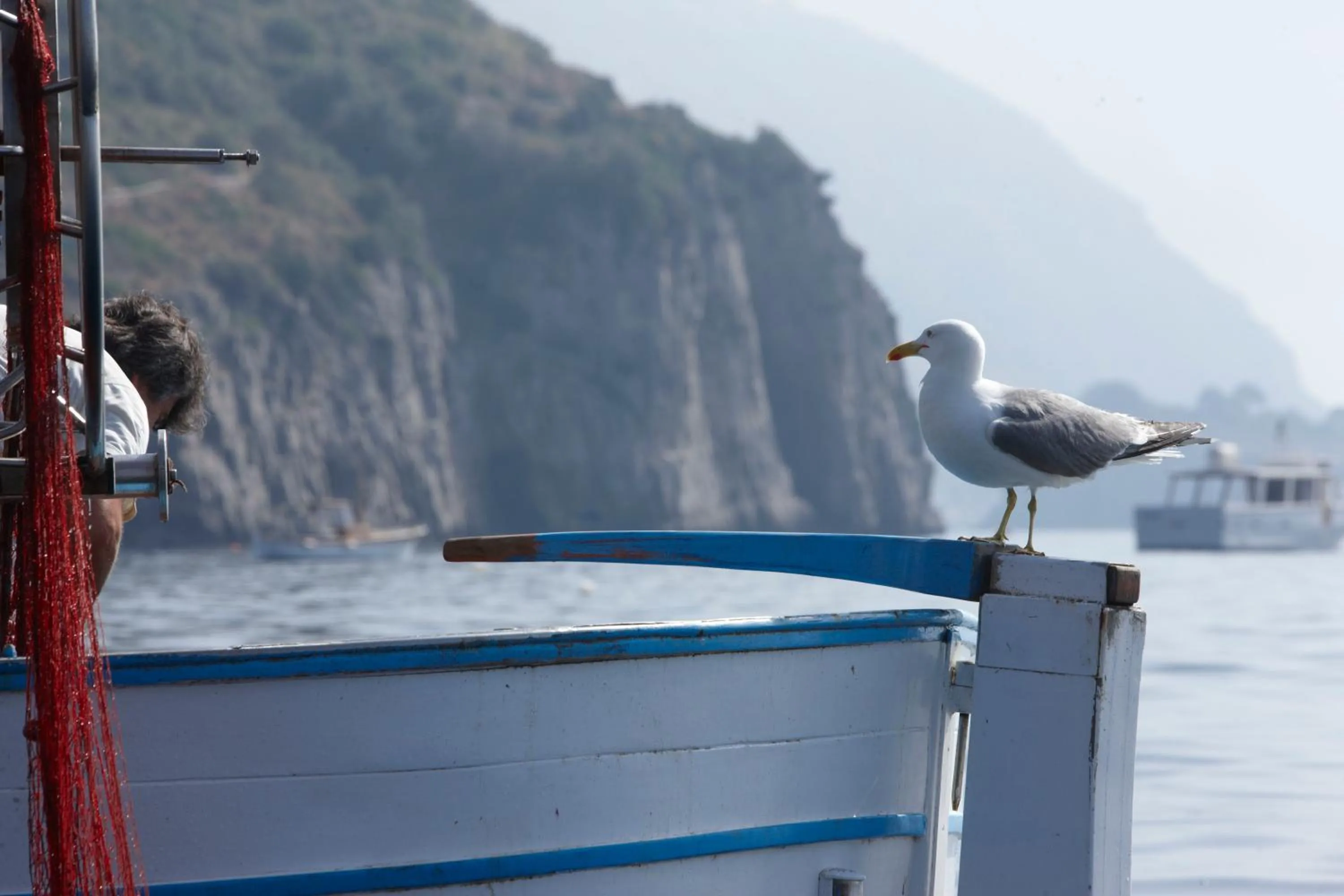 Area and facilities in Taverna Del Capitano