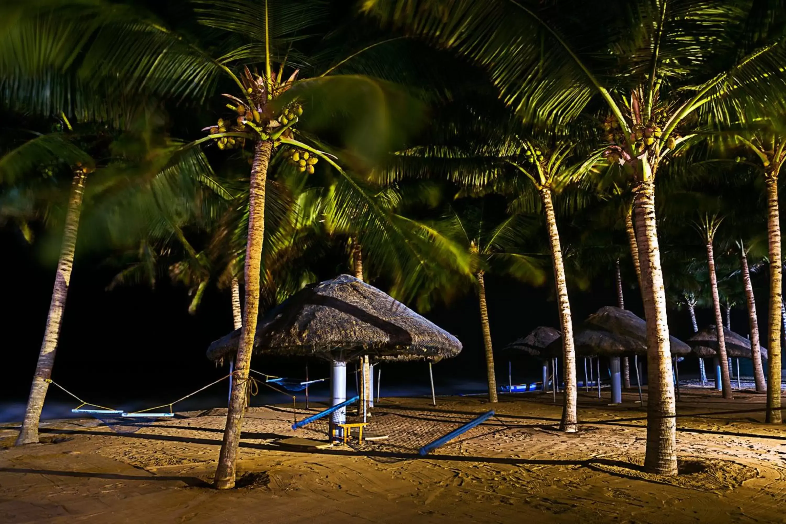 Night, Beach in Ideal Beach Resort