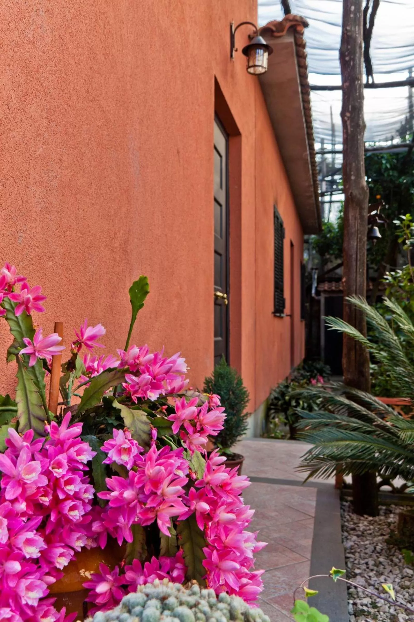 Decorative detail in La Maison de Titty & Margherita