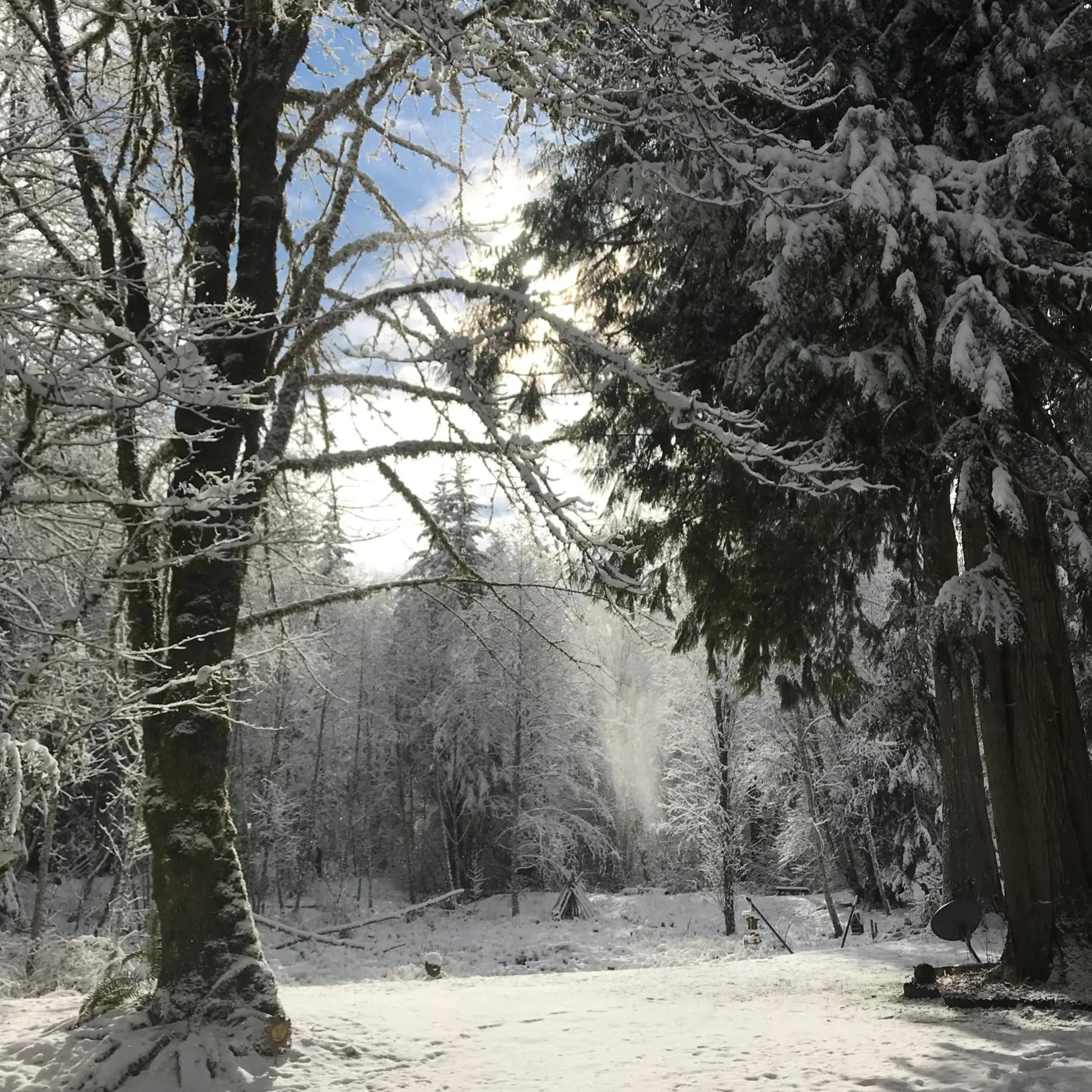 View (from property/room), Winter in Mountain Meadows Inn