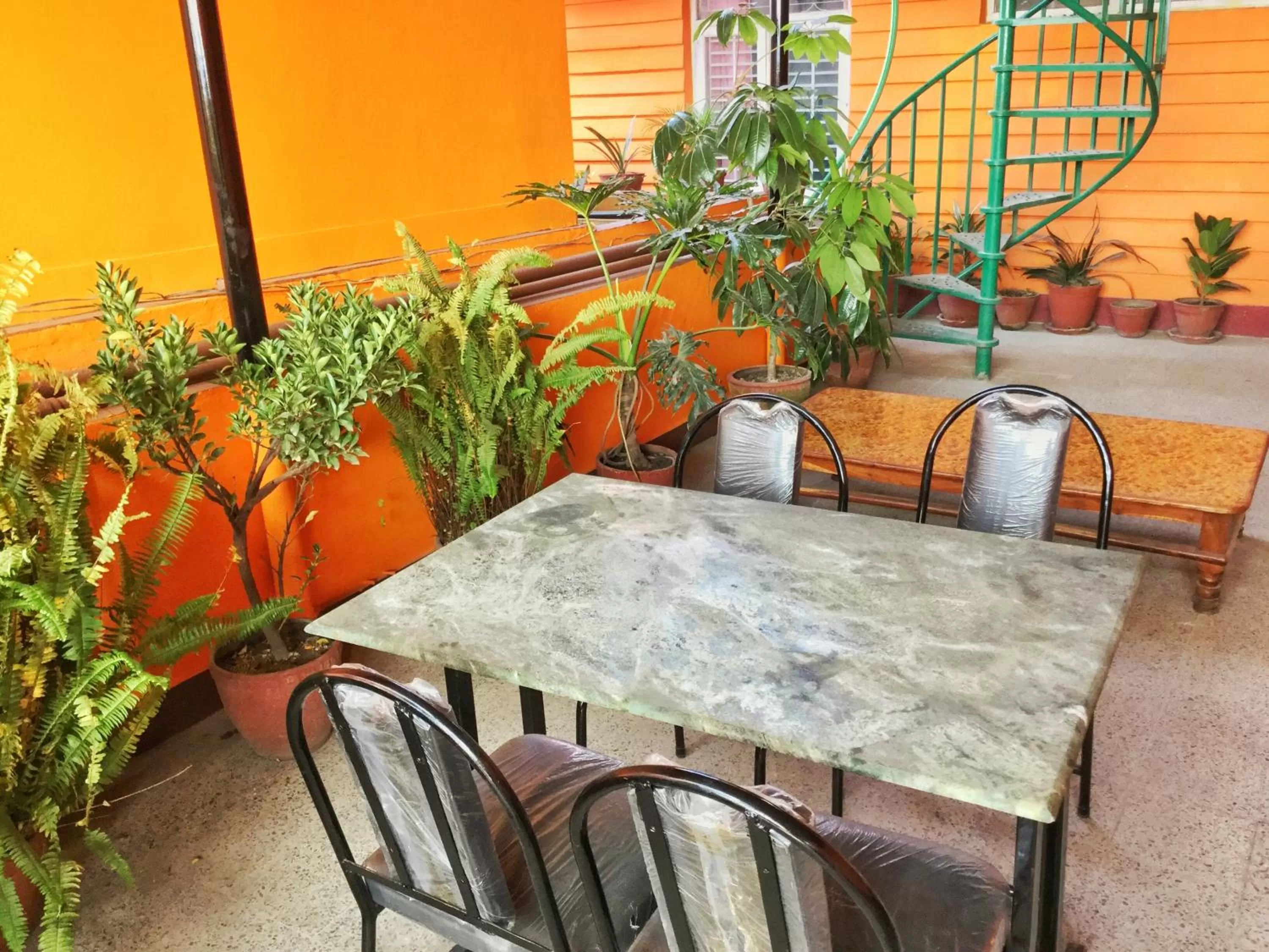 Garden in Trekkers Home