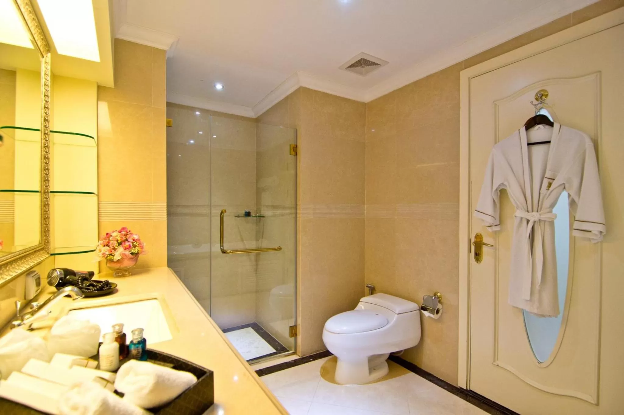 Toilet in LK The Empress