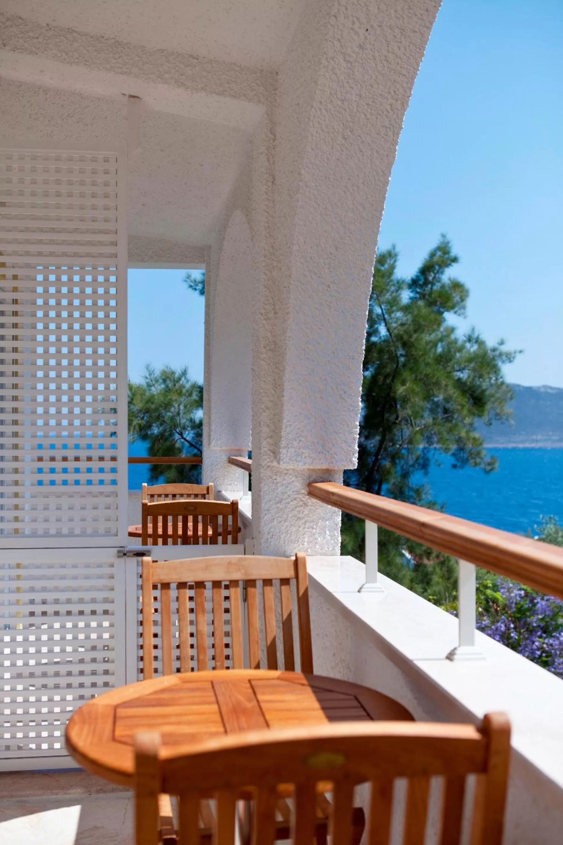 Balcony/Terrace in Olea Nova Hotel