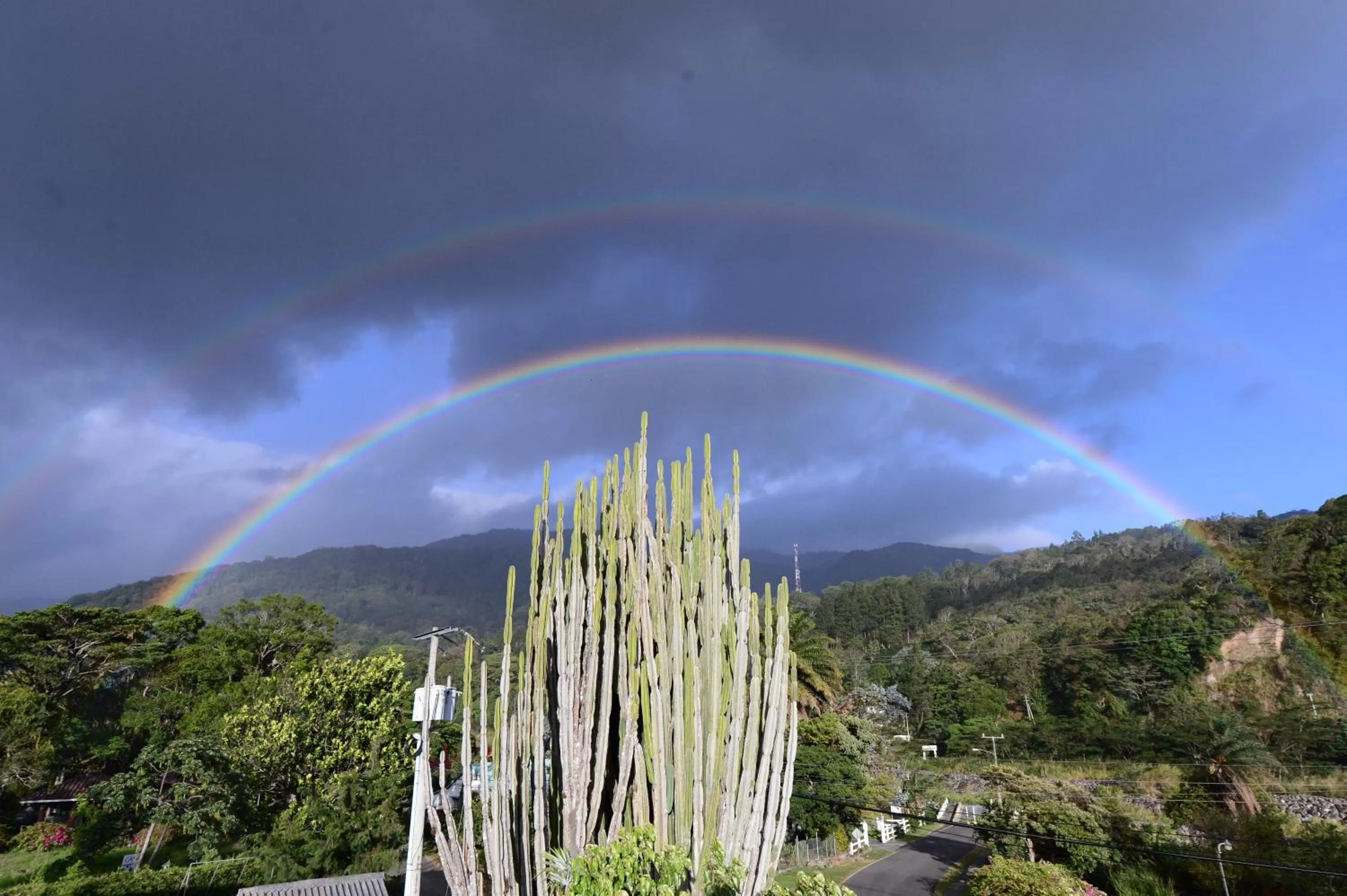 Landmark view in Hotel Panamonte