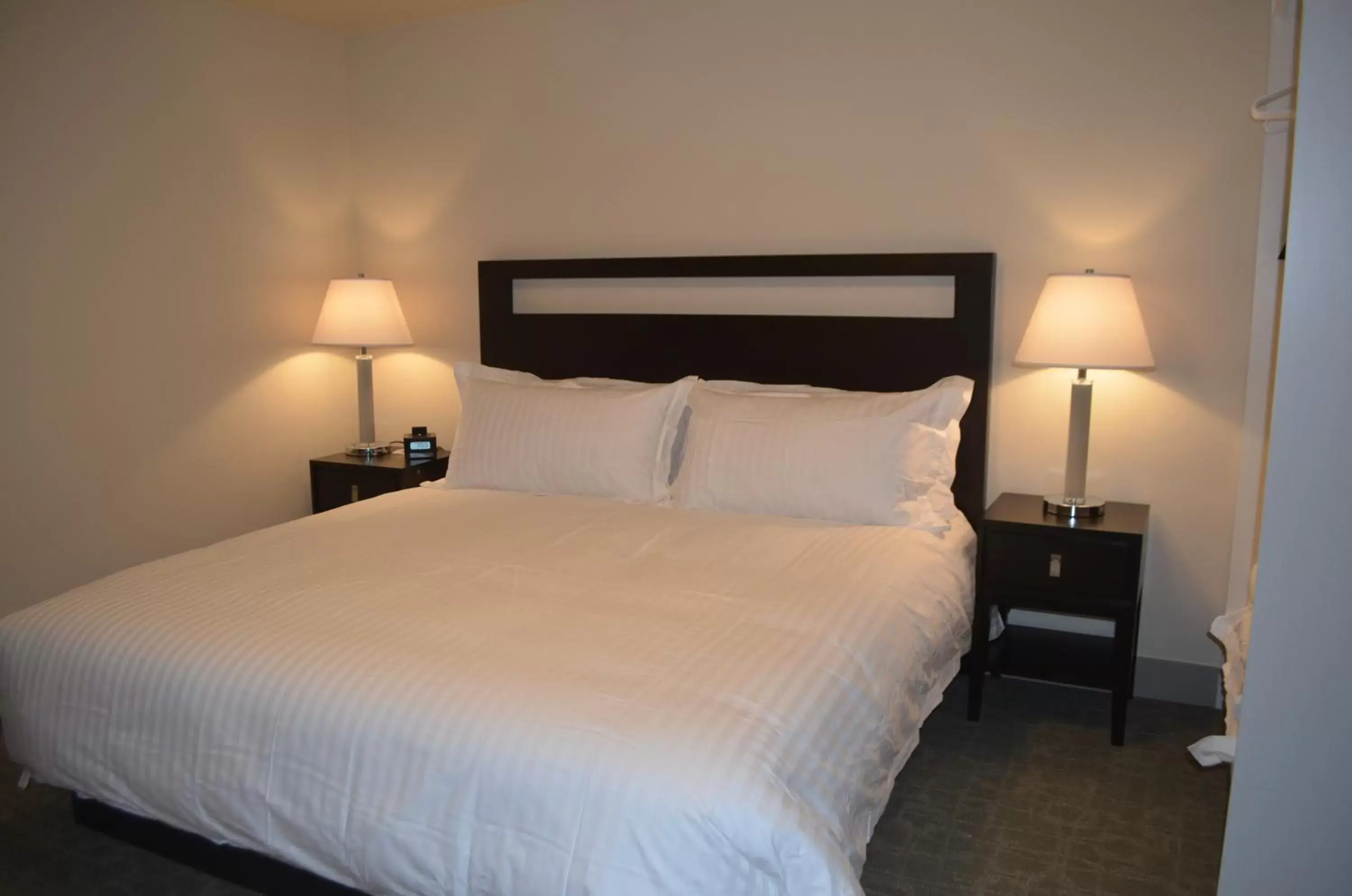 Luxury Single Room in Basalt Mountain Inn