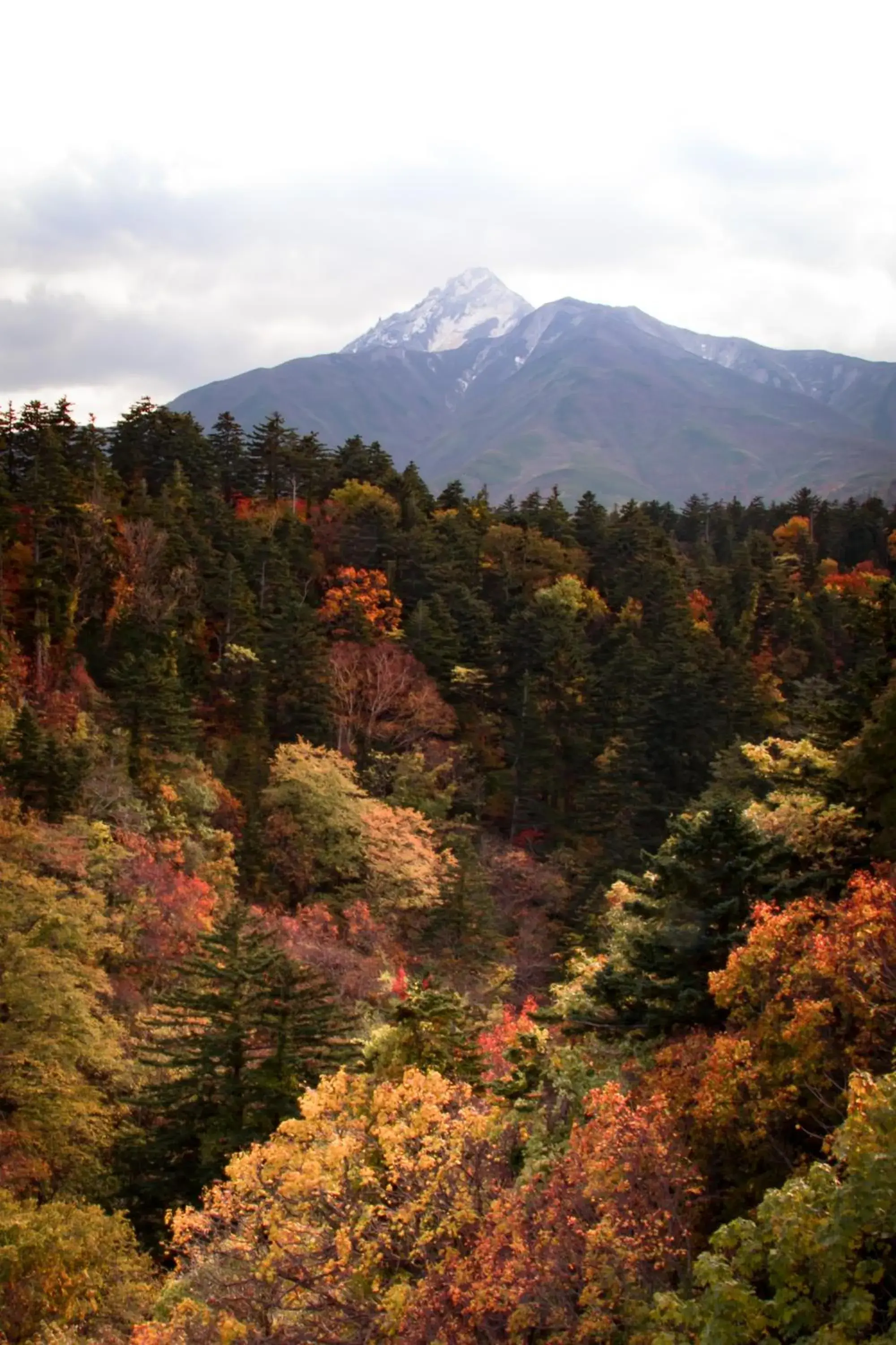 Autumn, Mountain View in Kitaguni Grand Hotel