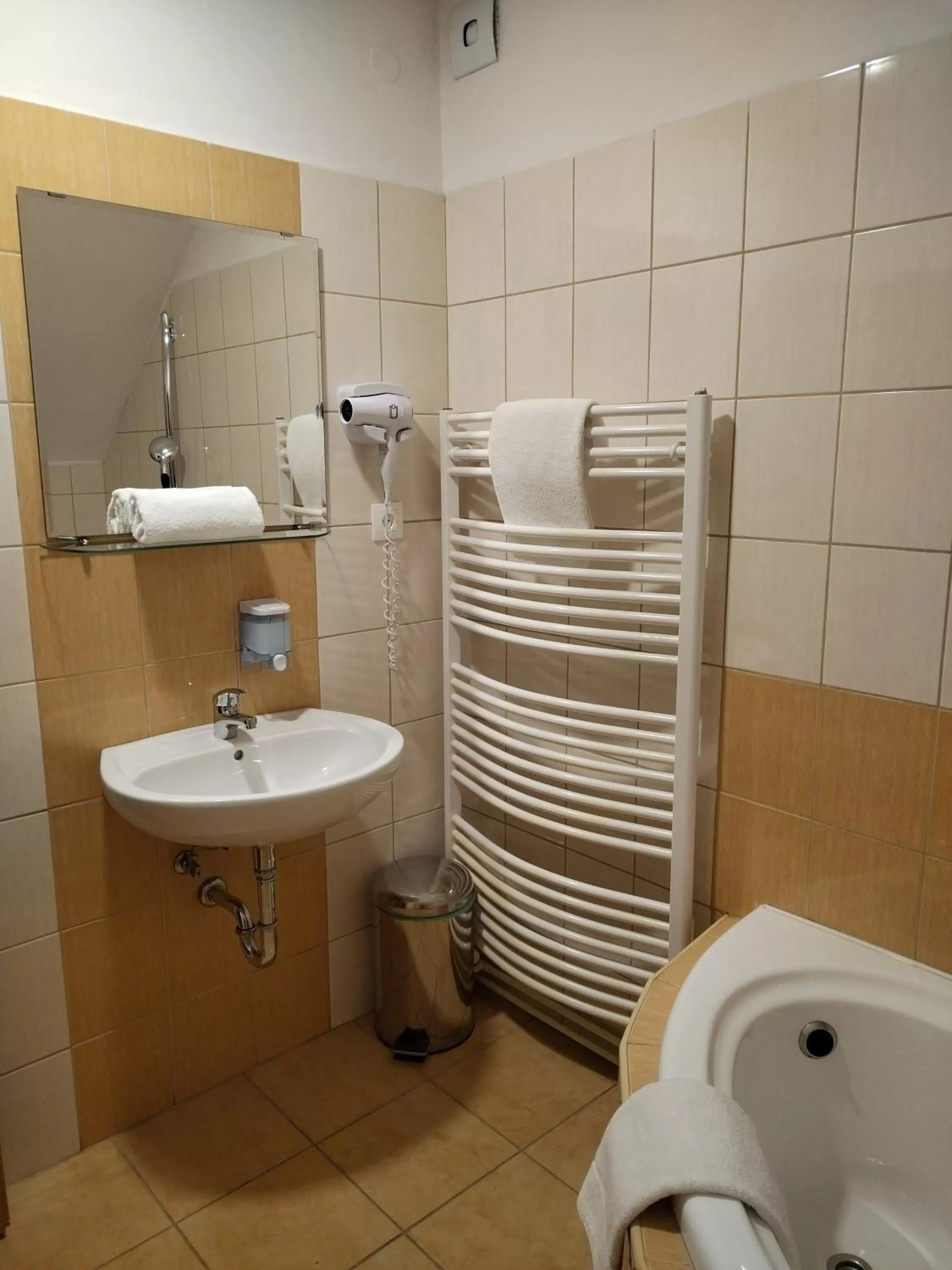 Shower in Hotel Boršičanka