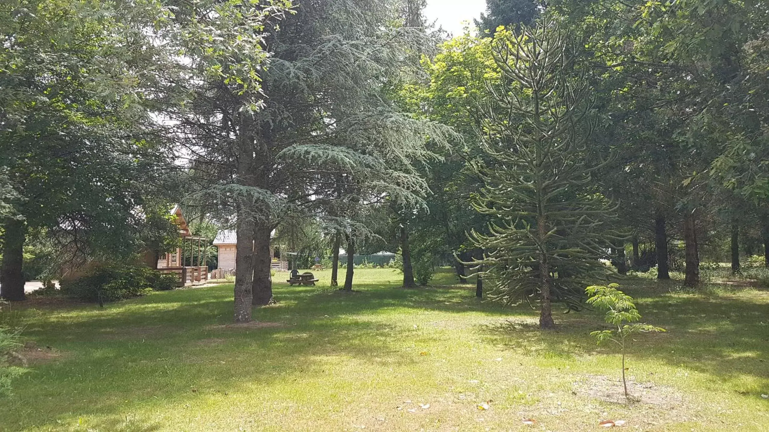 View (from property/room), Garden in Le Clos des Écureuils