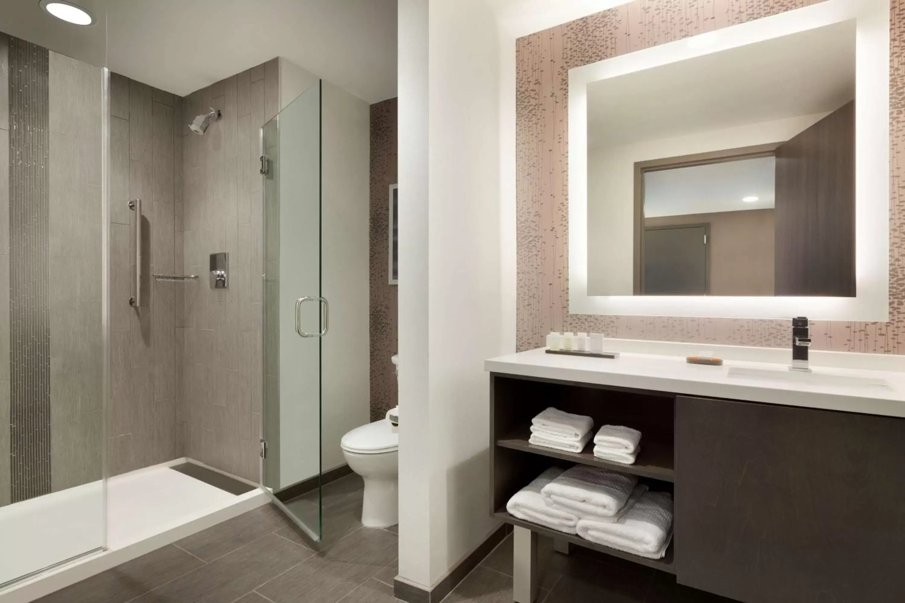 Bathroom in Embassy Suites by Hilton Charlotte Uptown