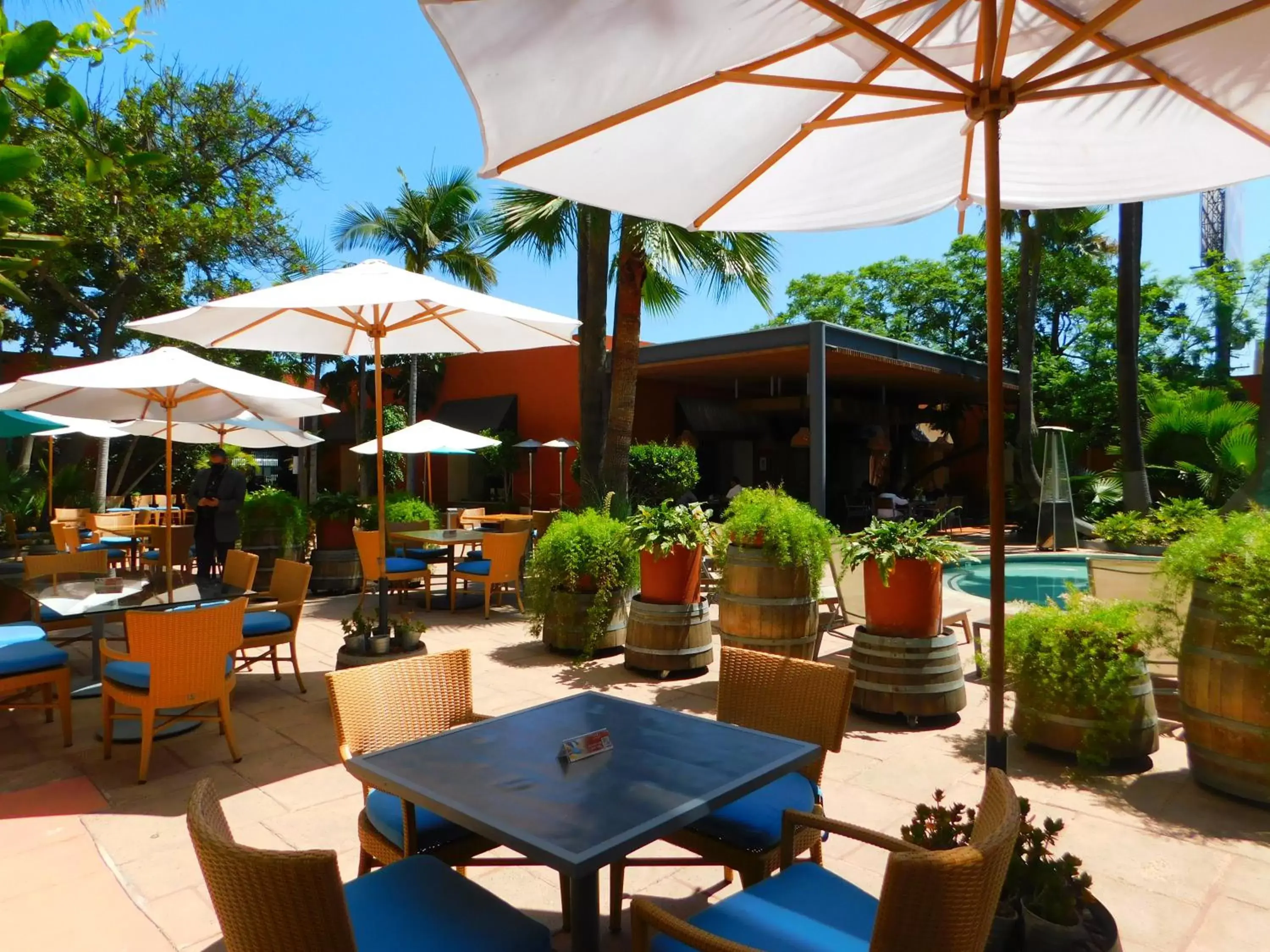 Patio, Restaurant/Places to Eat in Hotel Palacio Azteca
