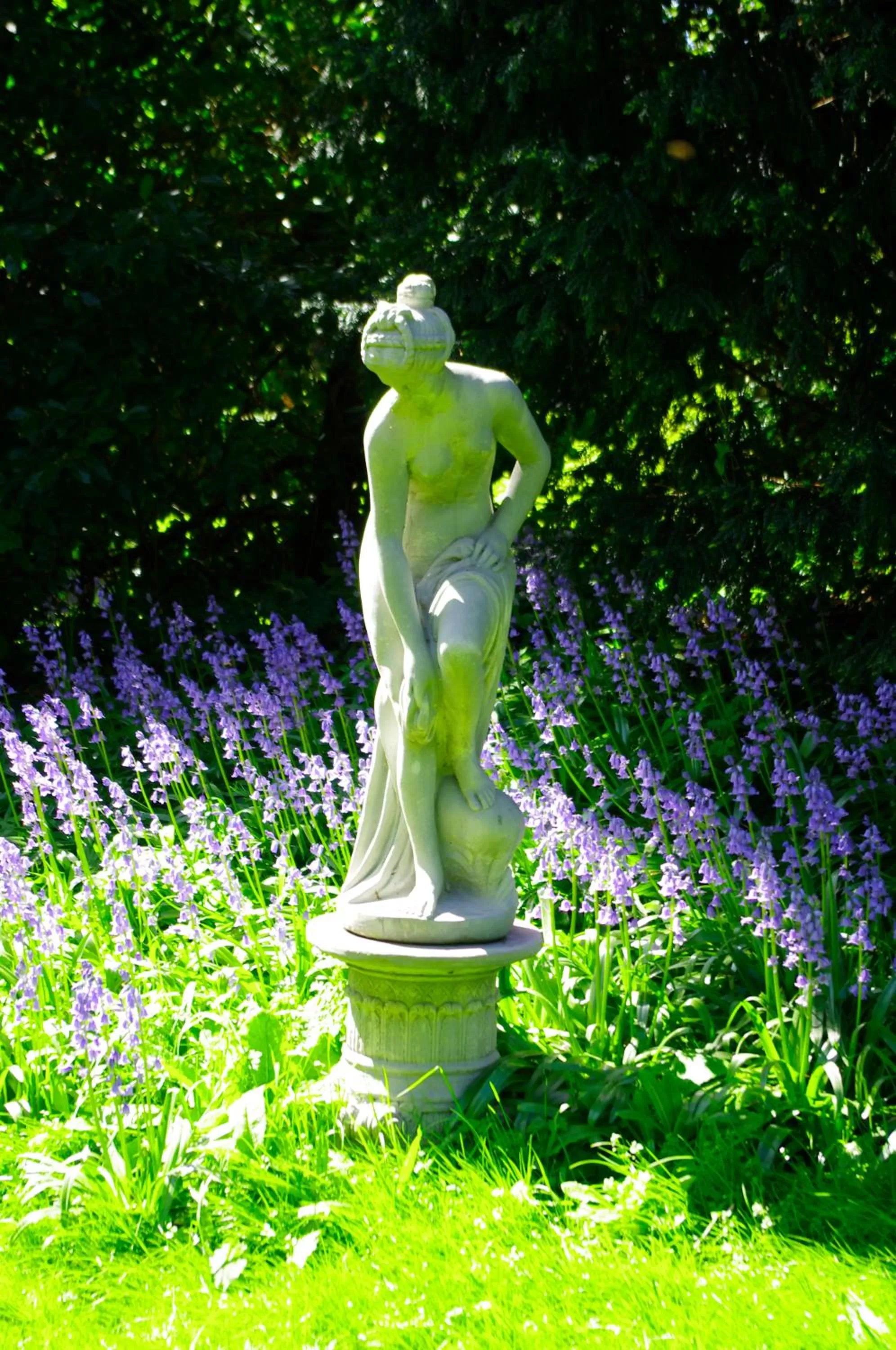 Garden in The Grange B&B