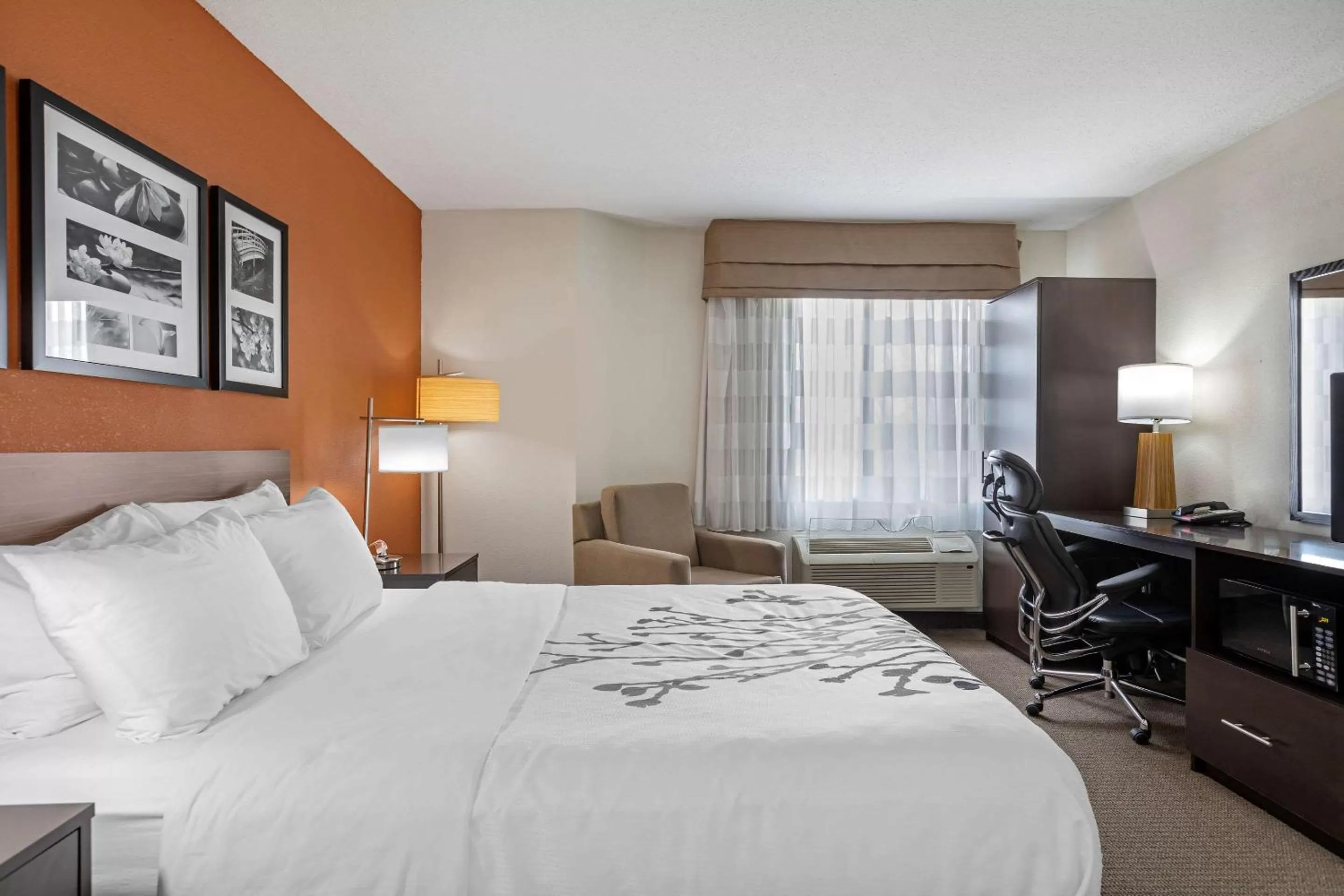 Bedroom, Bed in Sleep Inn DeWitt - Lansing North