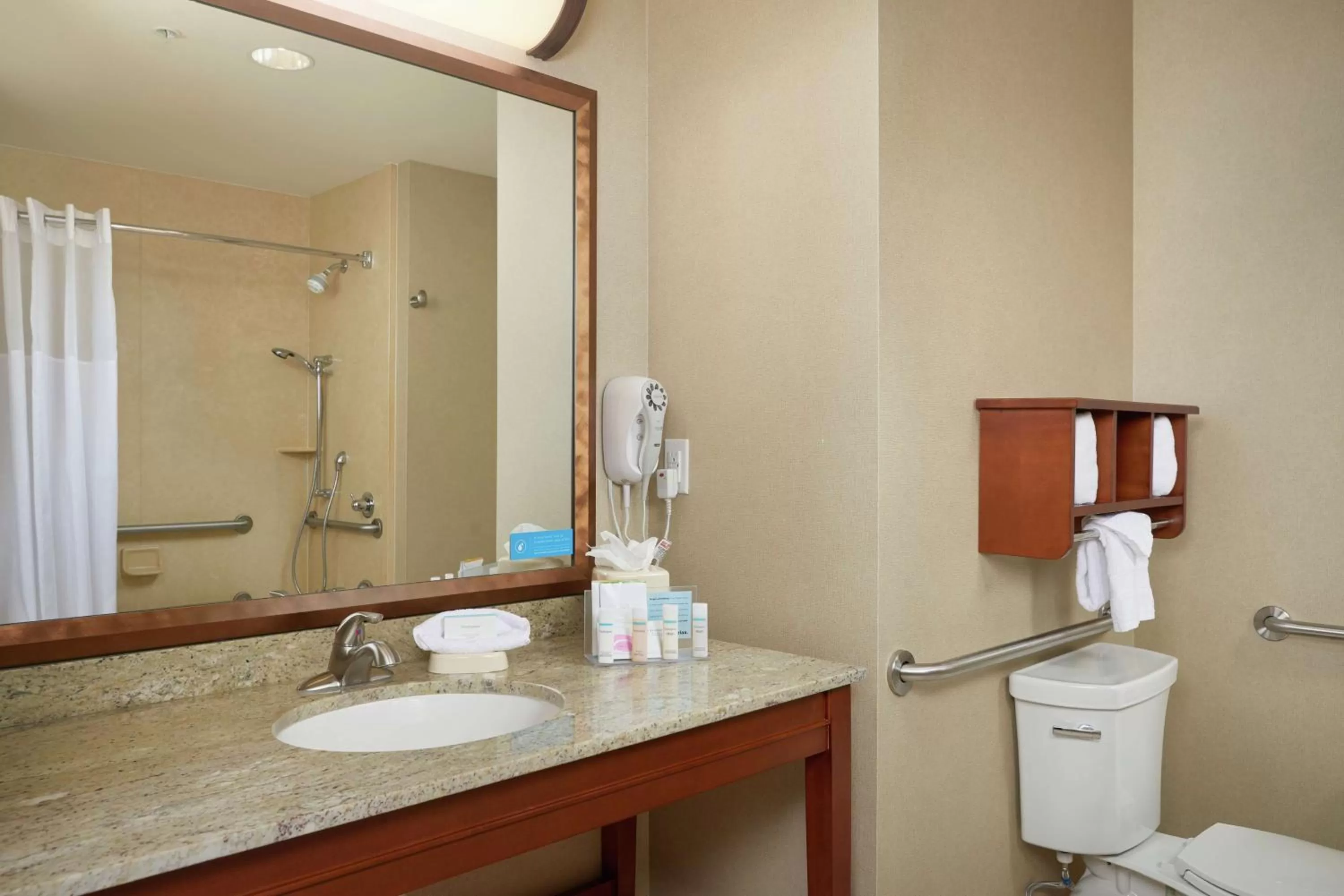 Bathroom in Hampton Inn and Suites Salem