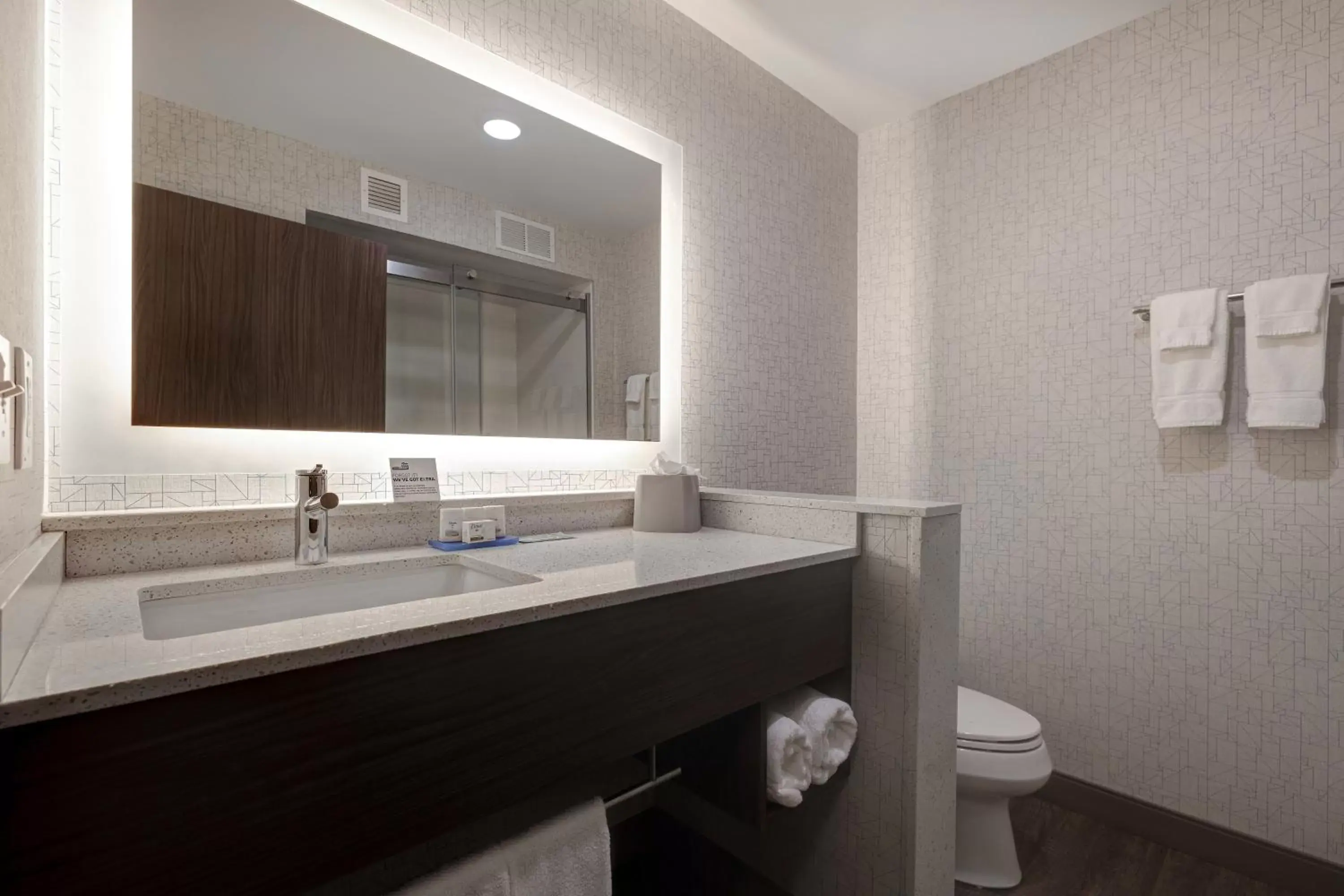 Bathroom in Holiday Inn Express & Suites - Ann Arbor - University South, an IHG Hotel