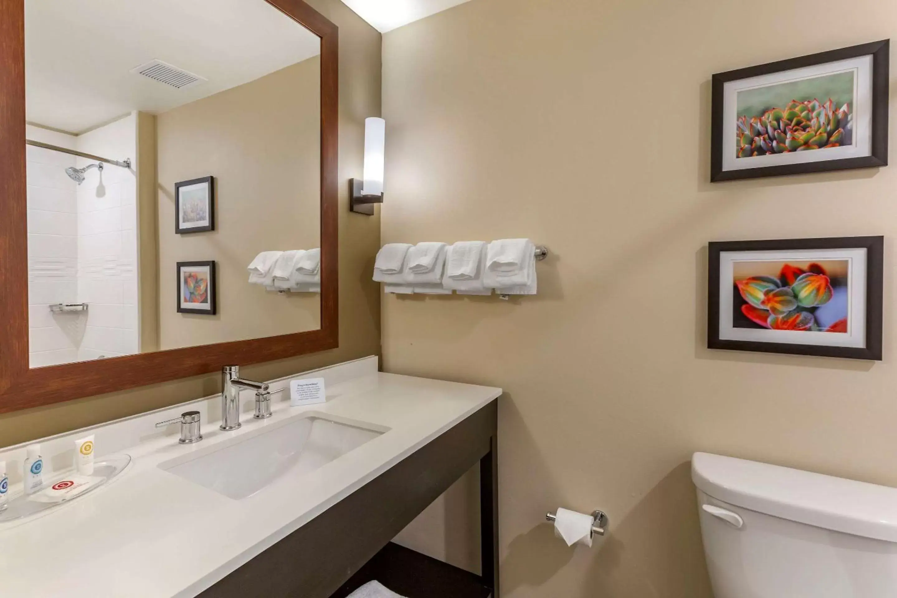 Photo of the whole room, Bathroom in Comfort Suites Albuquerque Airport