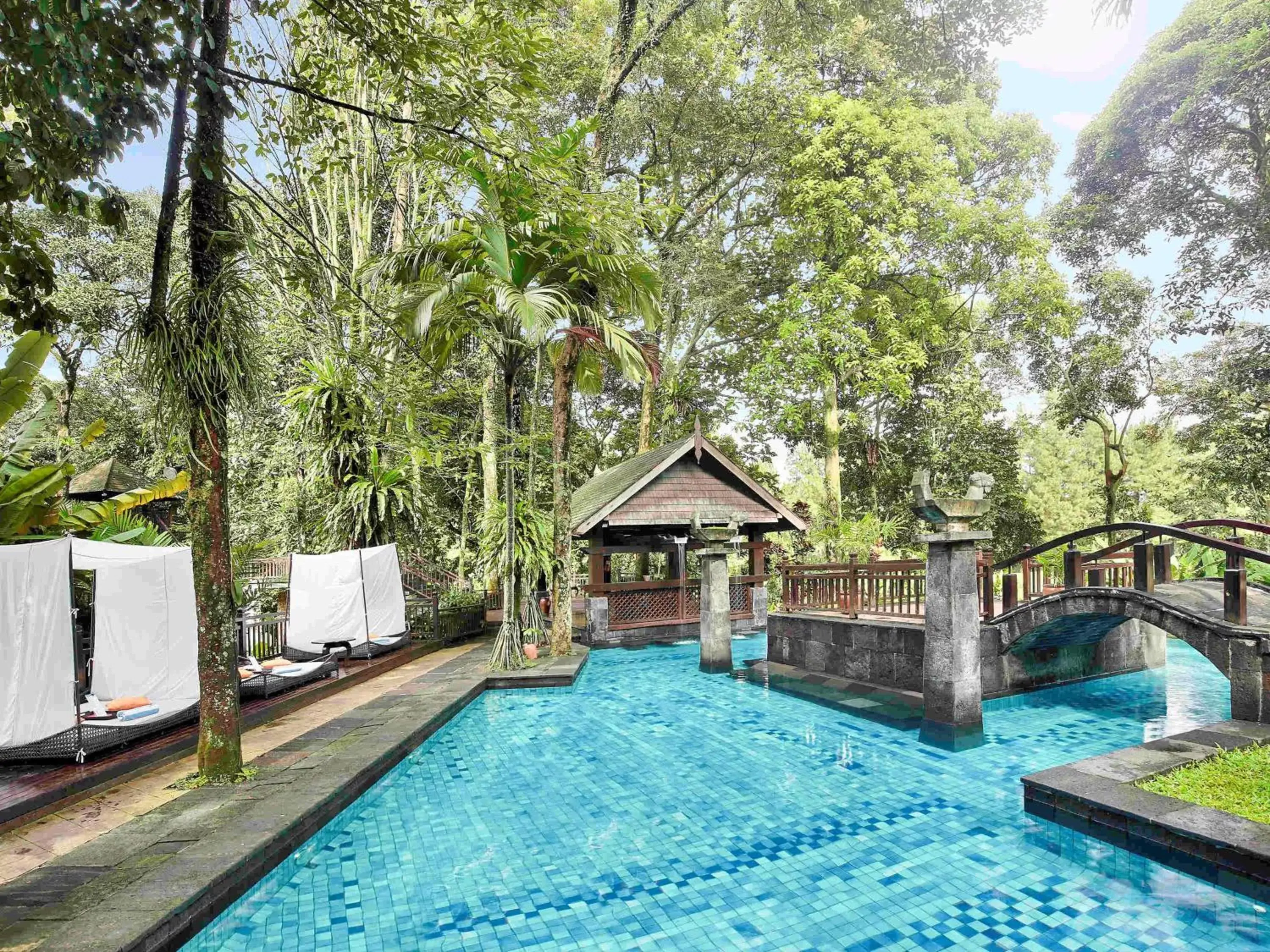 Sports, Swimming Pool in Novotel Bogor Golf Resort