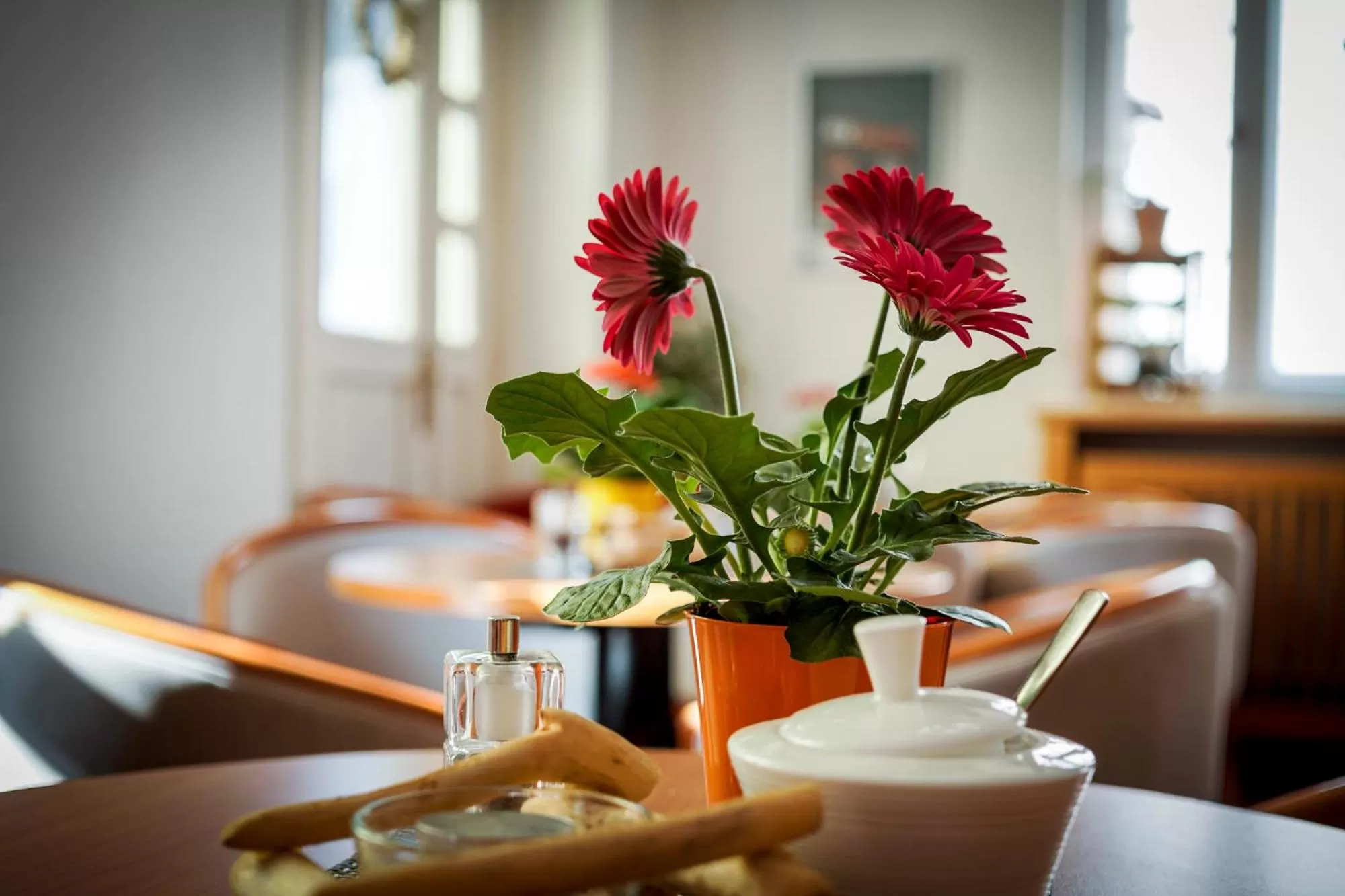 Restaurant/Places to Eat in Hotel Ratskeller Schwarzenberg