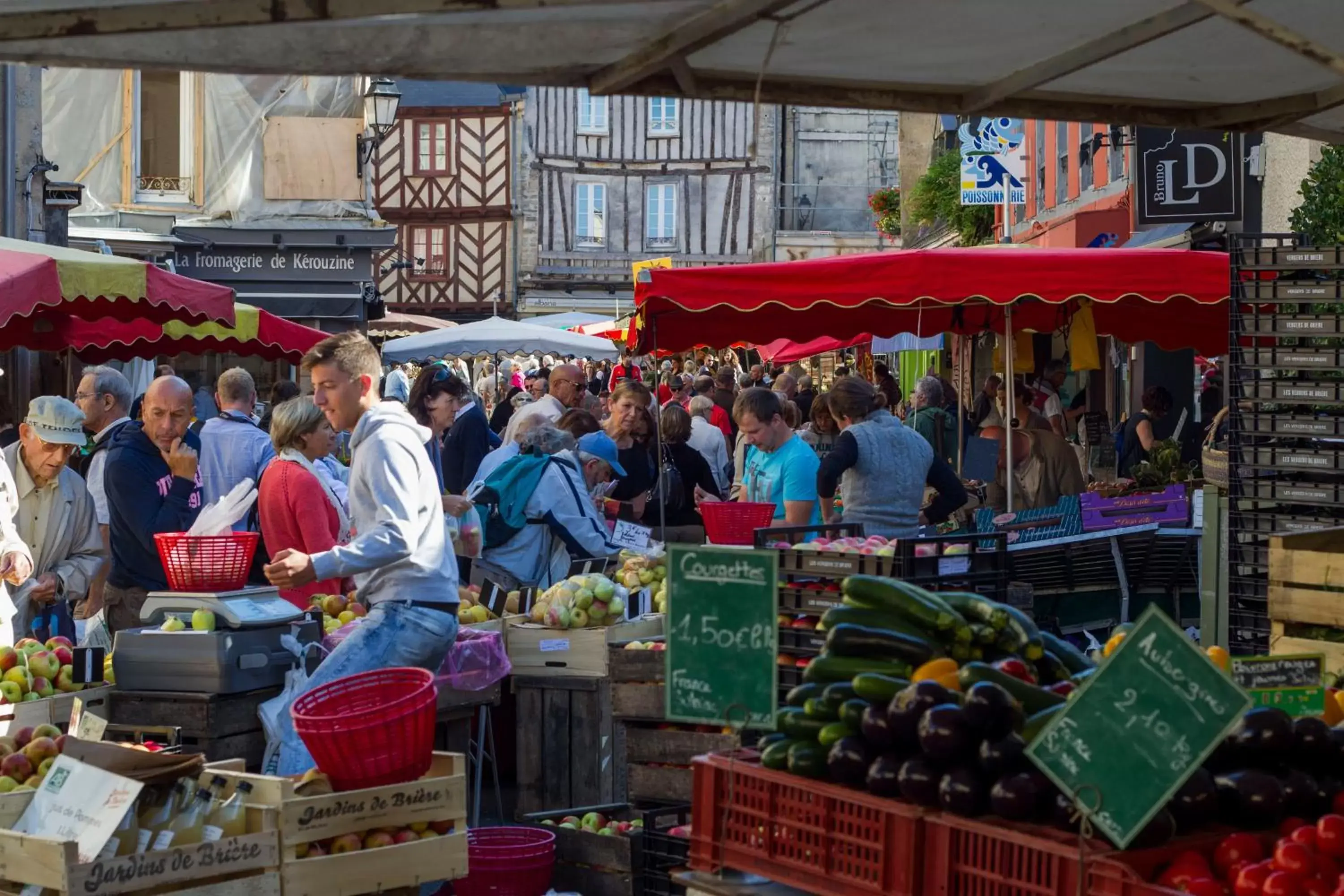 Activities, Supermarket/Shops in Kyriad Prestige Vannes Centre-Palais des Arts