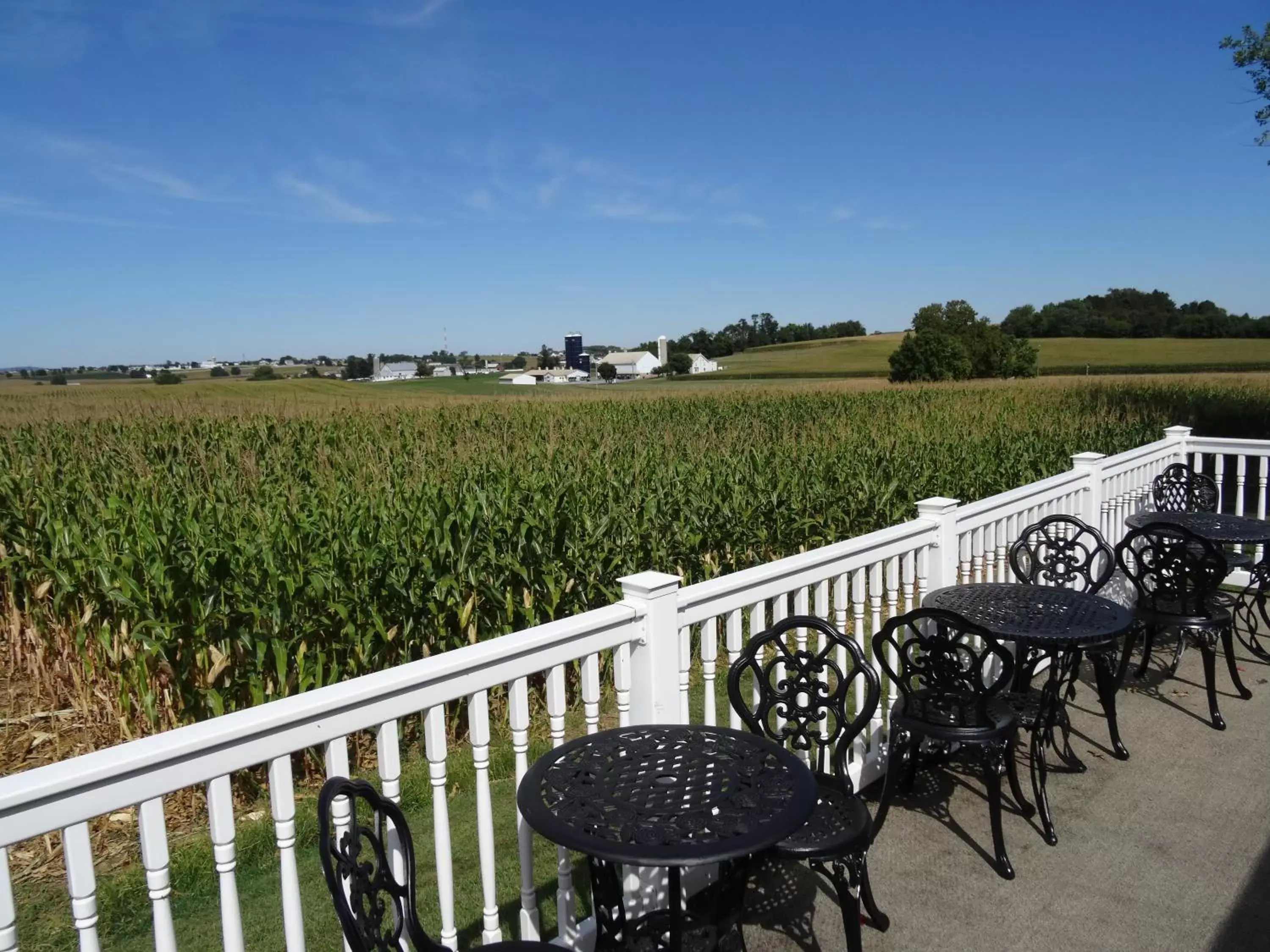 View (from property/room) in Amish Country Motel