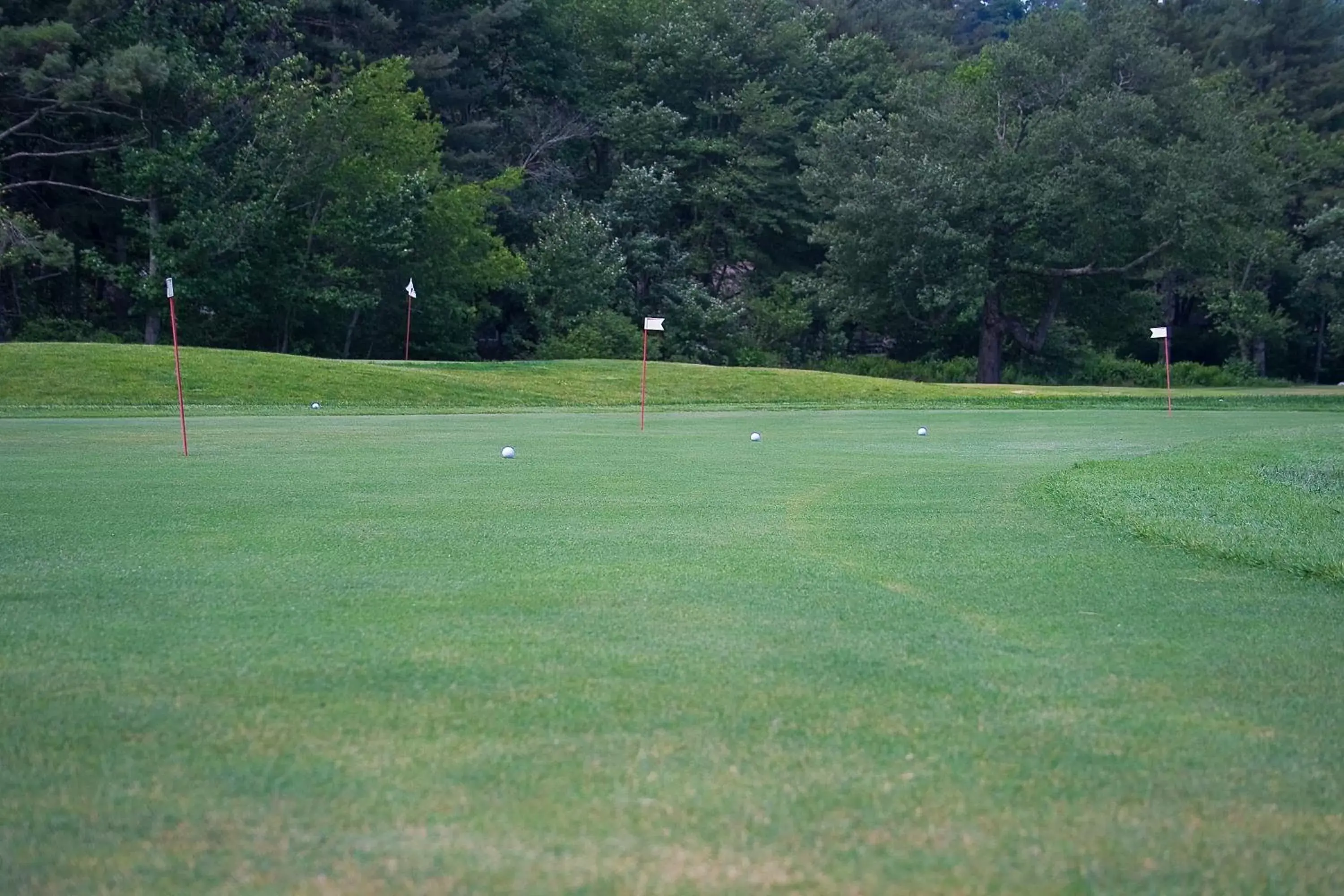 Golfcourse in Foxhunt at Sapphire Valley by Capital Vacations