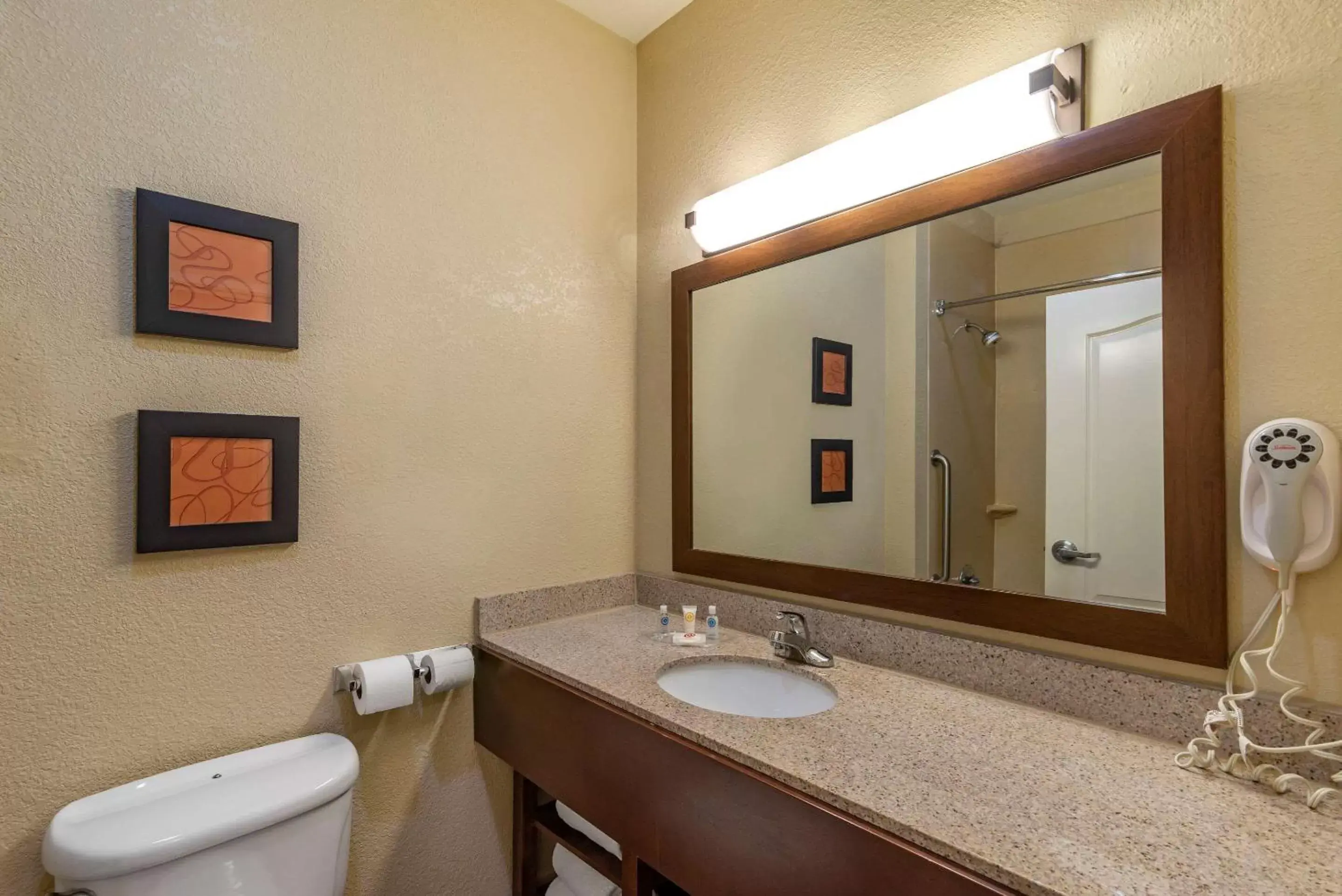 Photo of the whole room, Bathroom in Comfort Suites Montgomery East Monticello Dr.