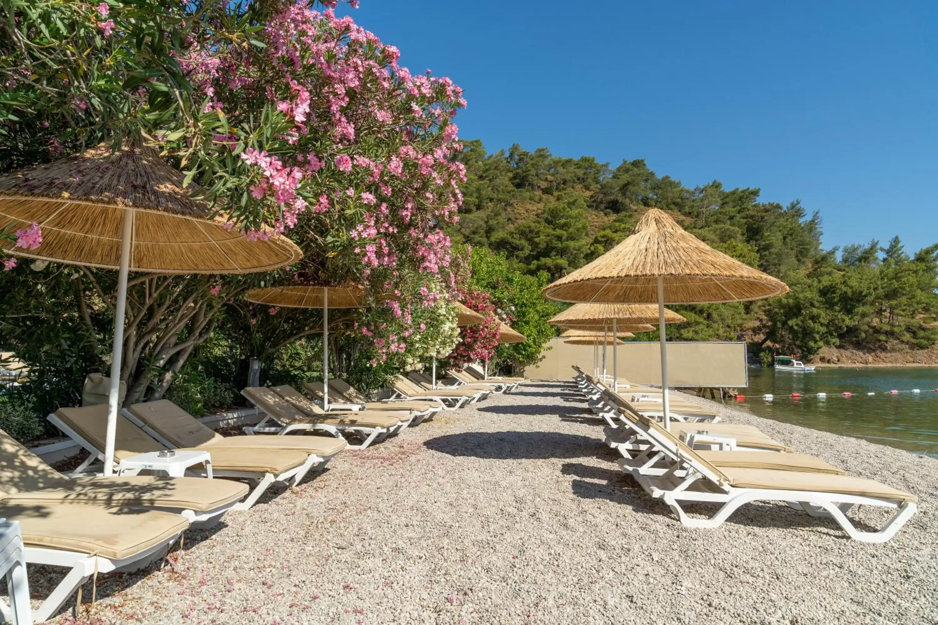 Beach in Alesta Yacht Hotel