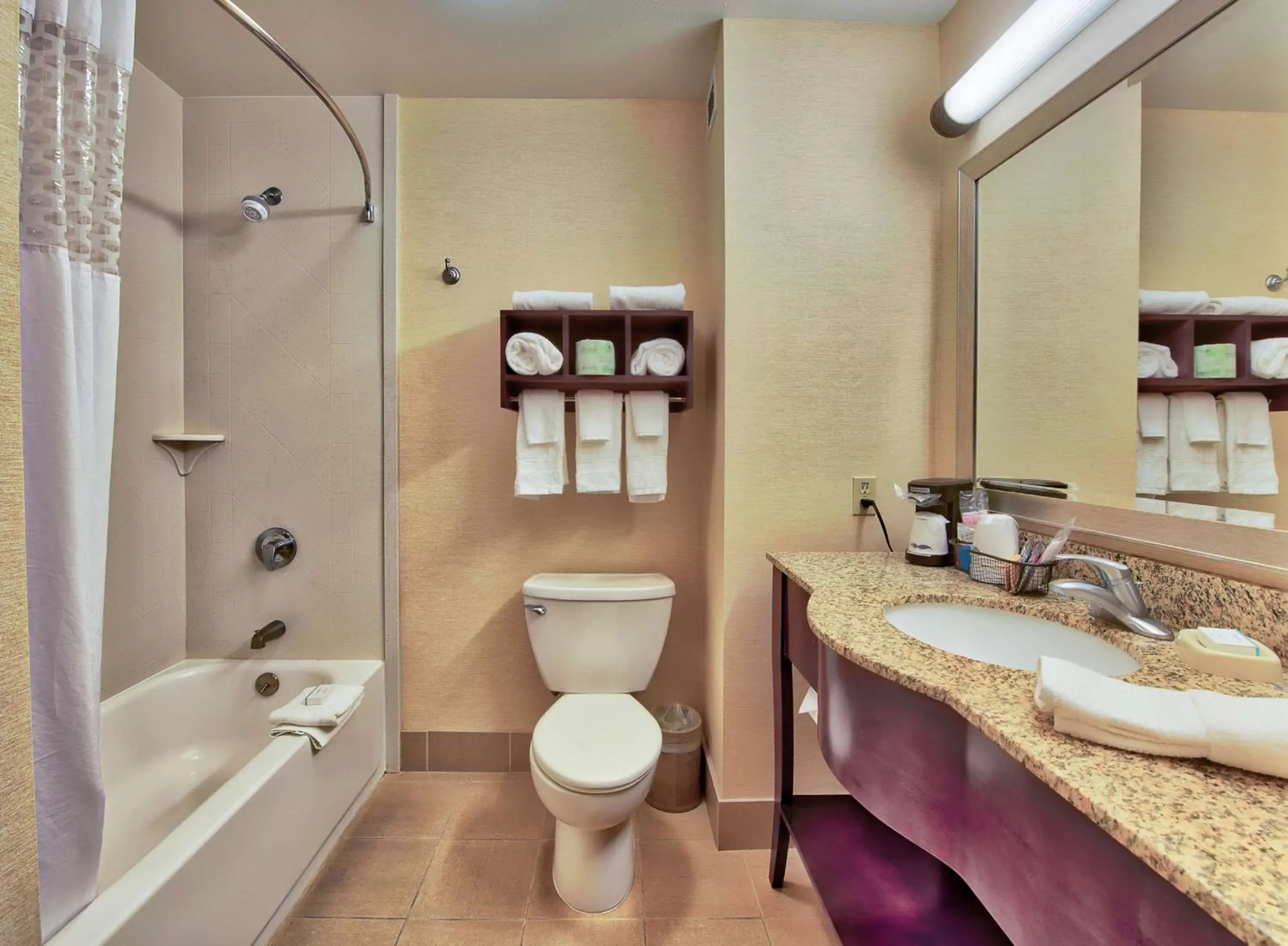 Bathroom in Hampton Inn & Suites Ridgecrest