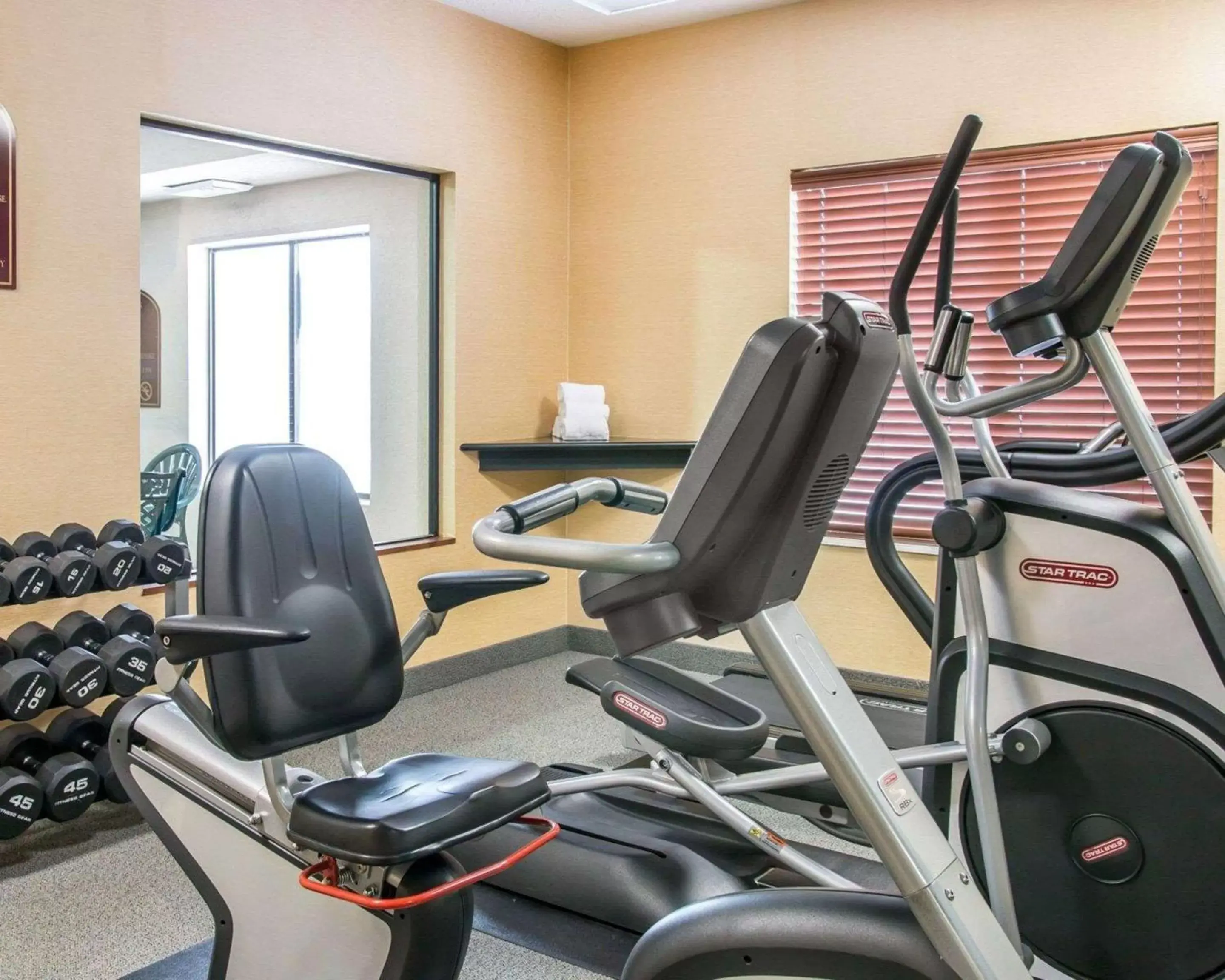 Fitness centre/facilities, Fitness Center/Facilities in Quality Inn & Suites Niles