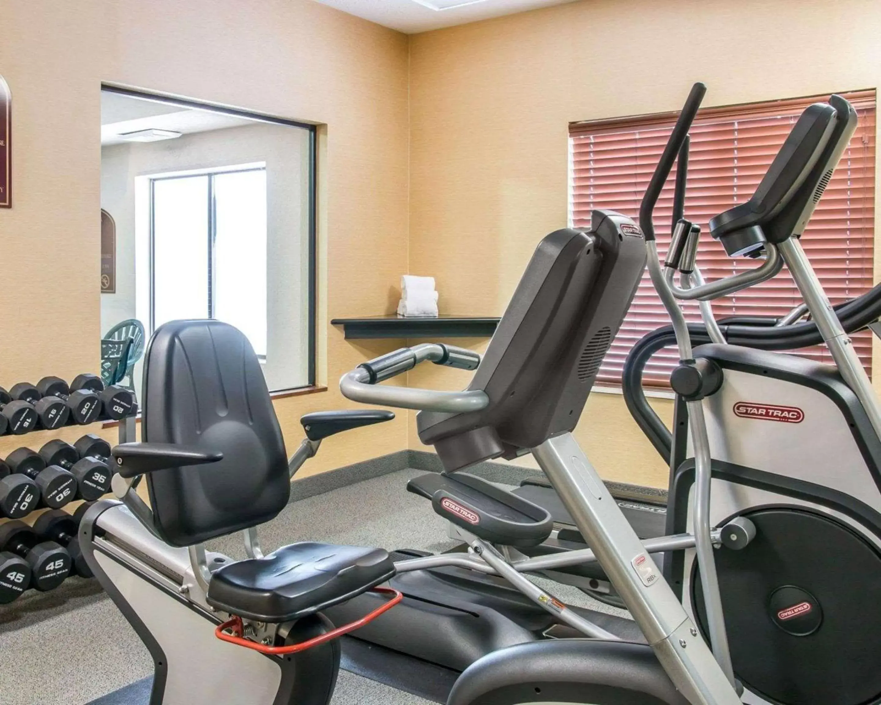 Fitness centre/facilities in Quality Inn & Suites Niles Fitness centre/facilities in Quality Inn & Suites Niles