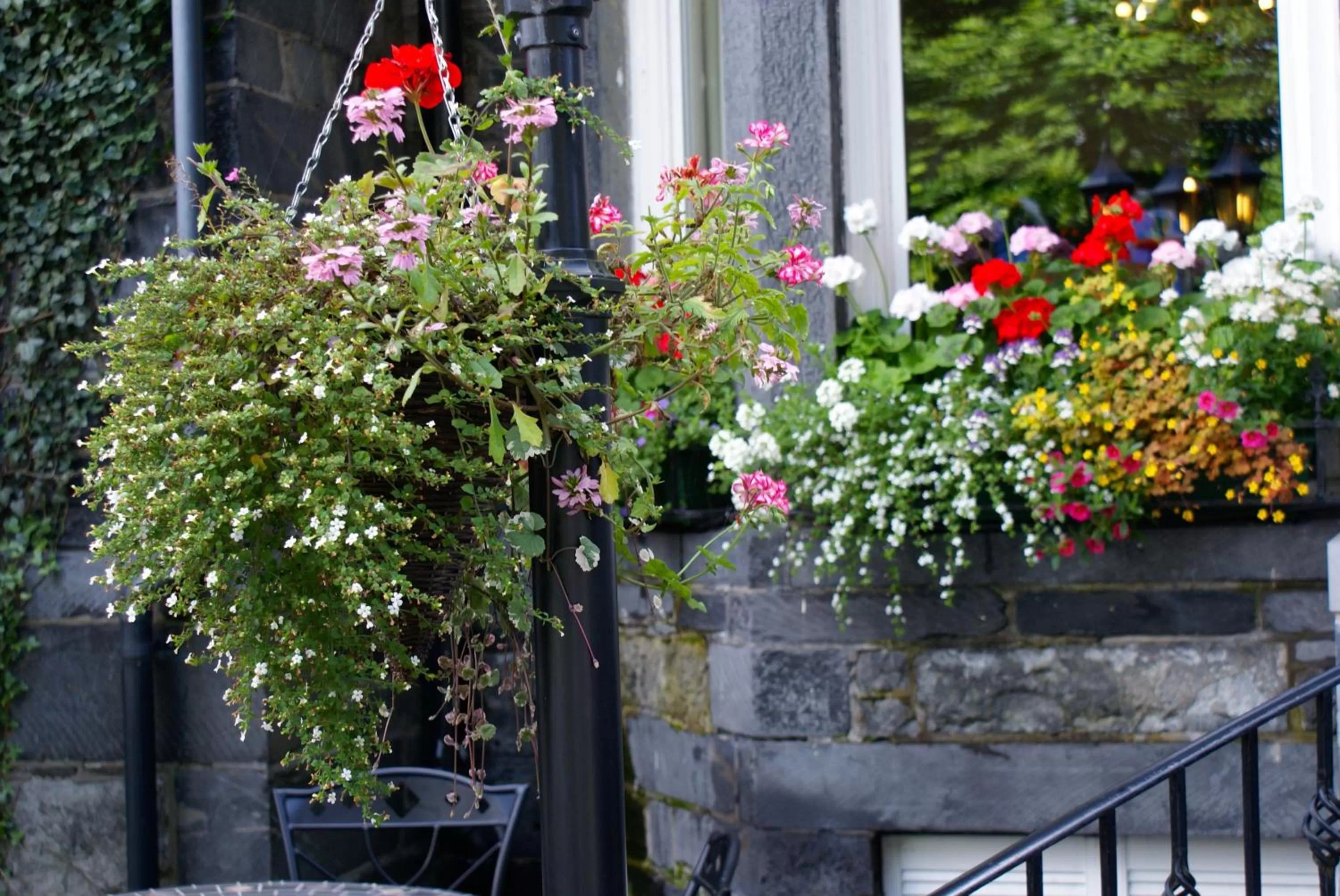 Balcony/Terrace in Glan Aber Hotel