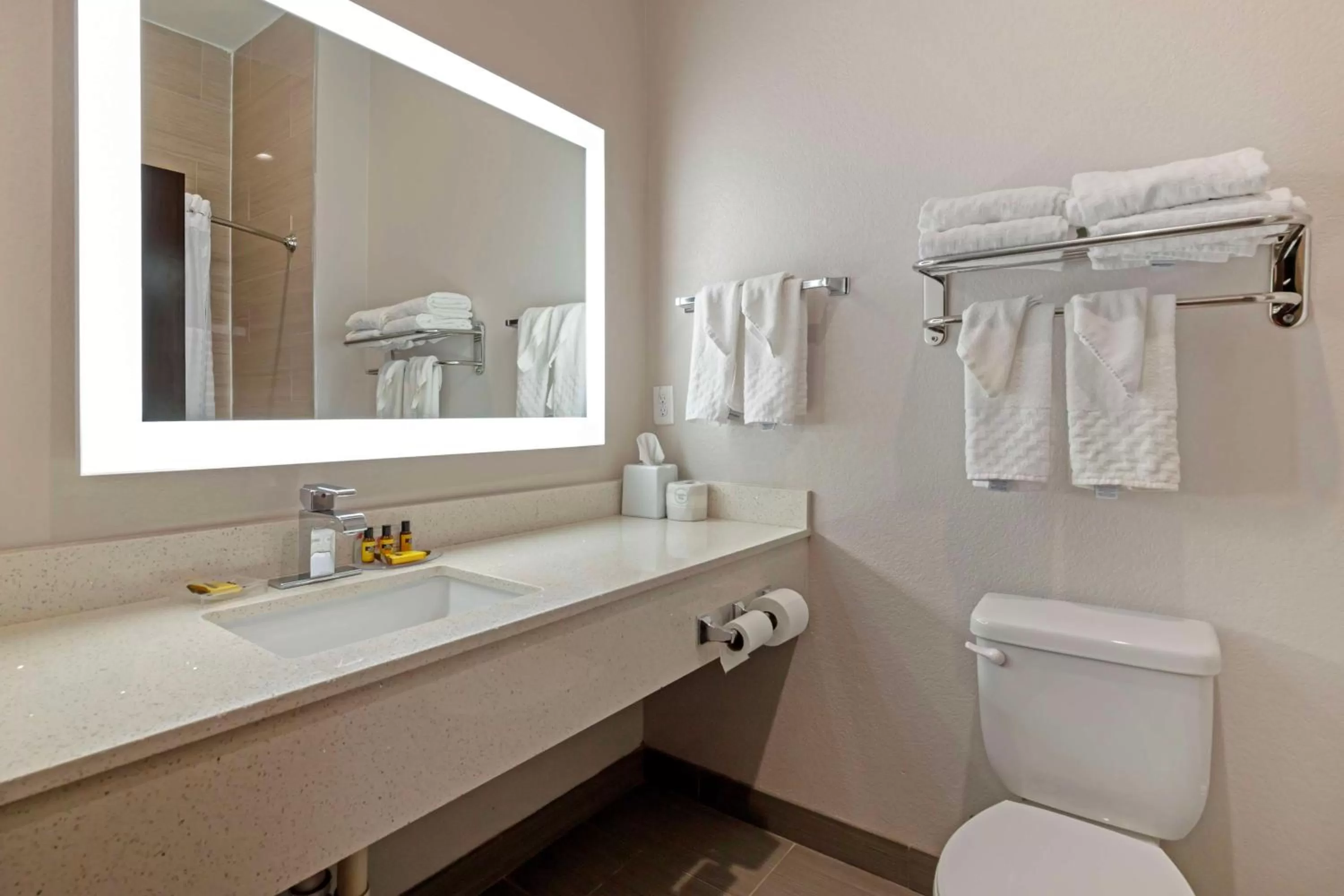 Bathroom in Best Western Plus Pleasanton Hotel