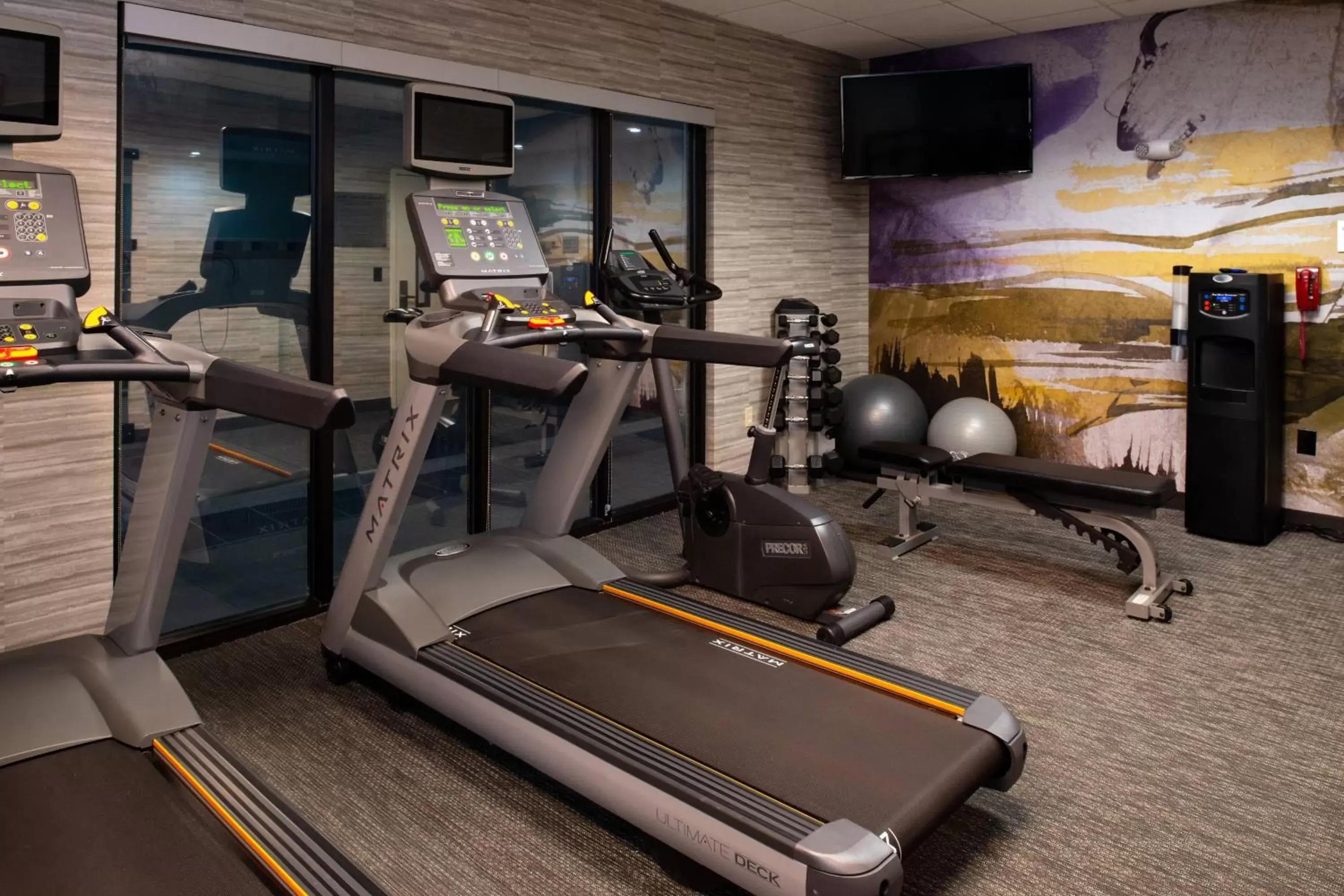 Fitness centre/facilities, Fitness Center/Facilities in Courtyard High Point