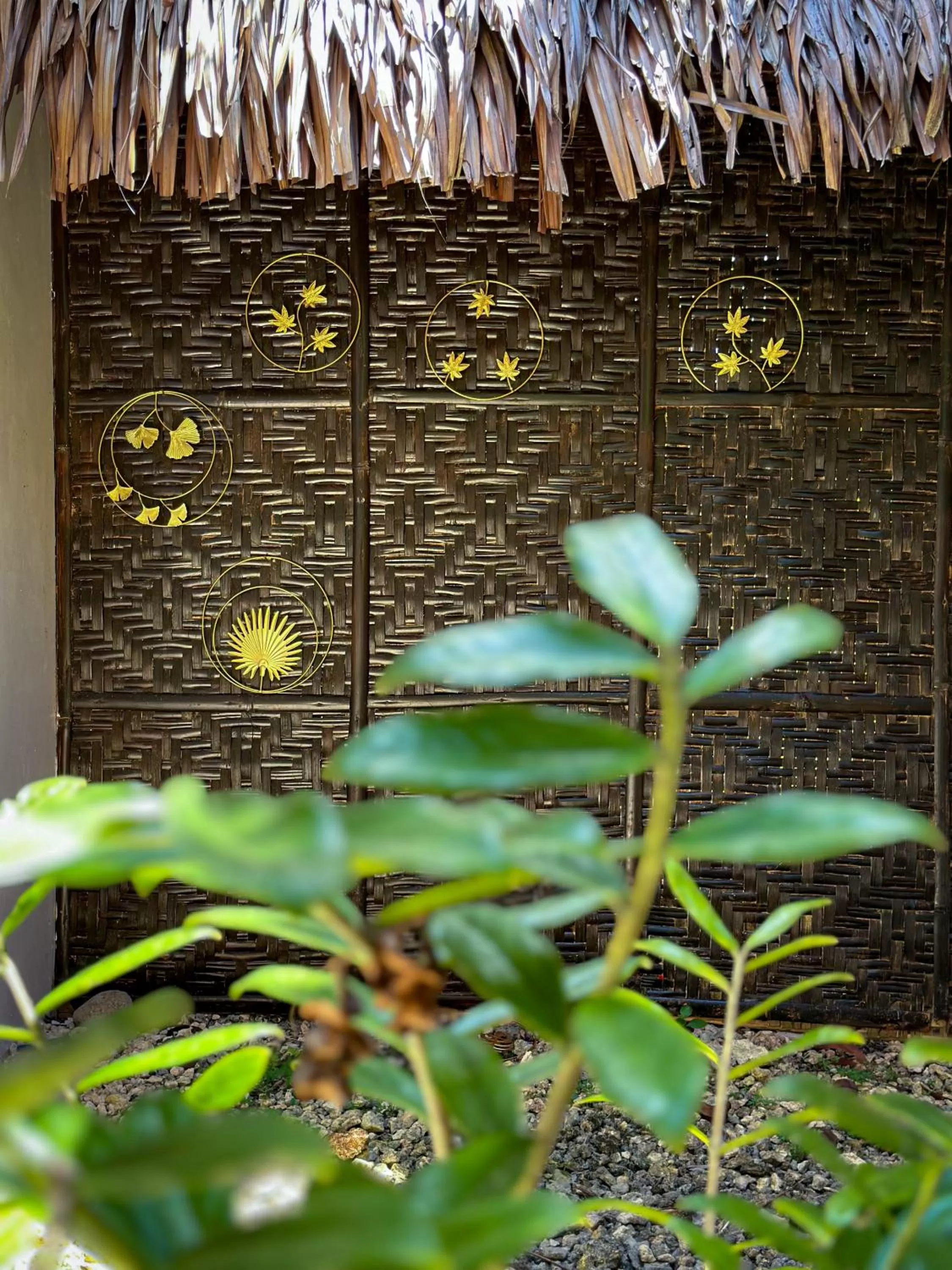 Garden in Alona Pawikan