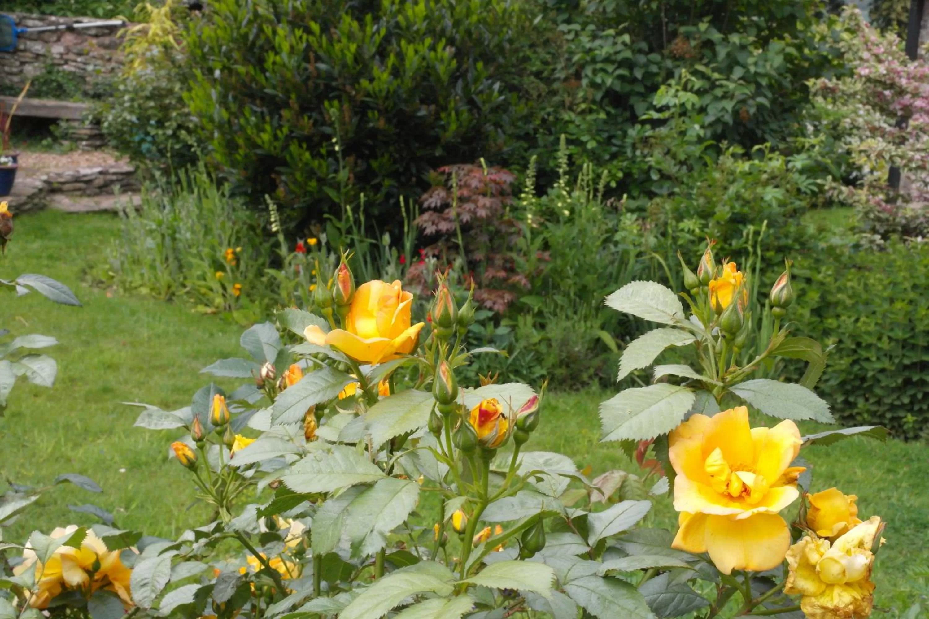 Garden in Prospect BARN