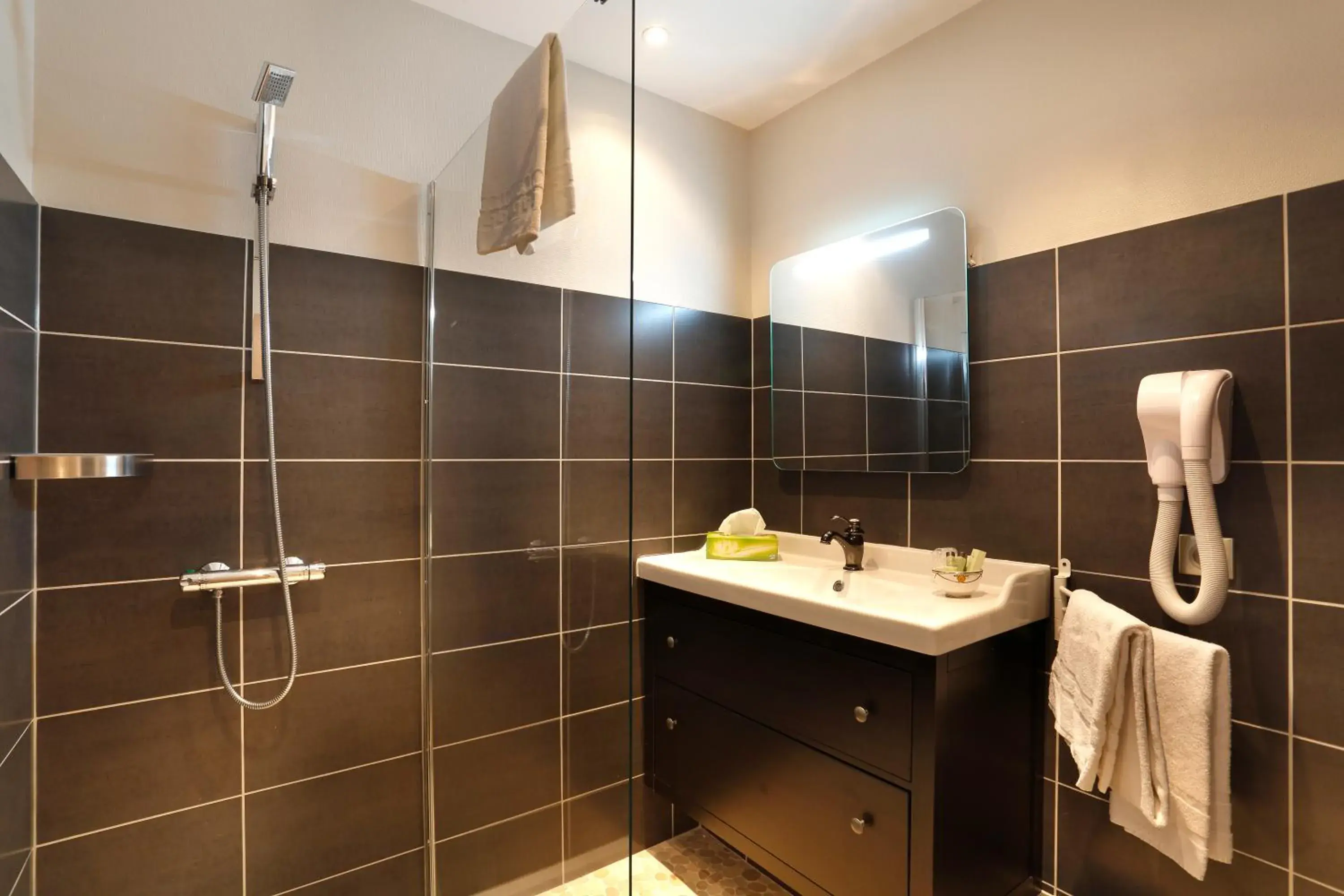 Shower, Bathroom in Hôtel Le Roncevaux