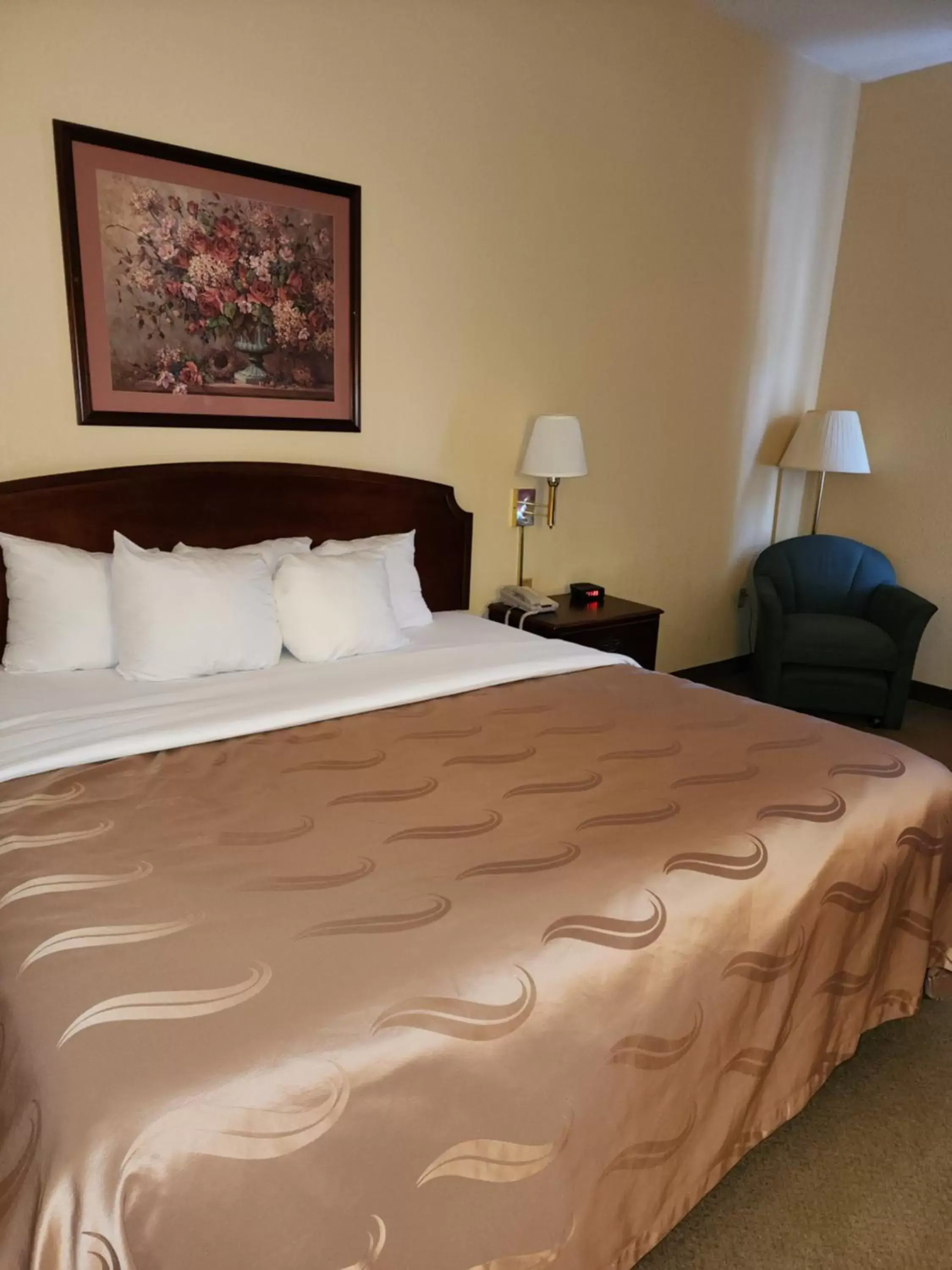 King Room - Accessible/Non-Smoking in Quality Inn & Suites Bellville - Mansfield