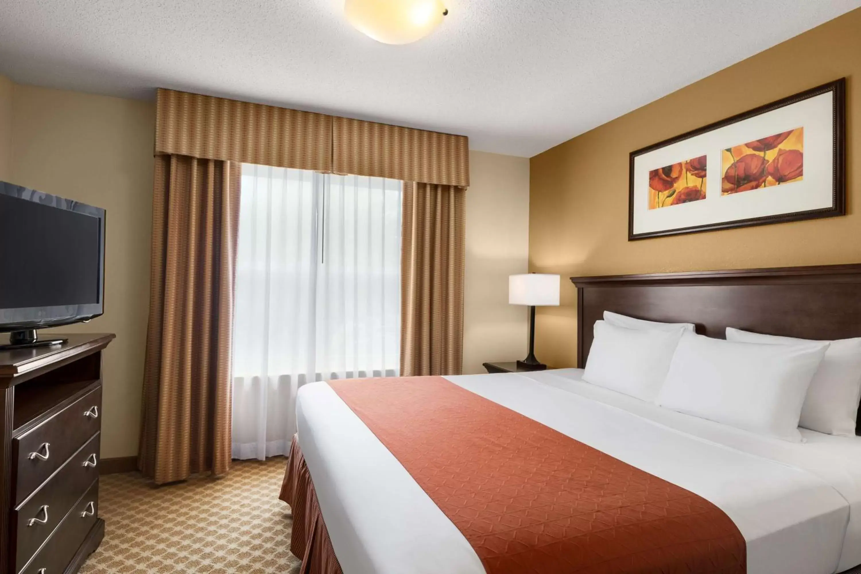 Photo of the whole room, Bed in Country Inn & Suites by Radisson, Washington Dulles International Airport, VA