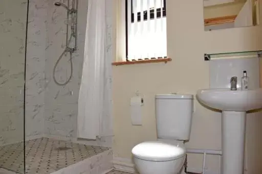 Bathroom in Melin Tregib