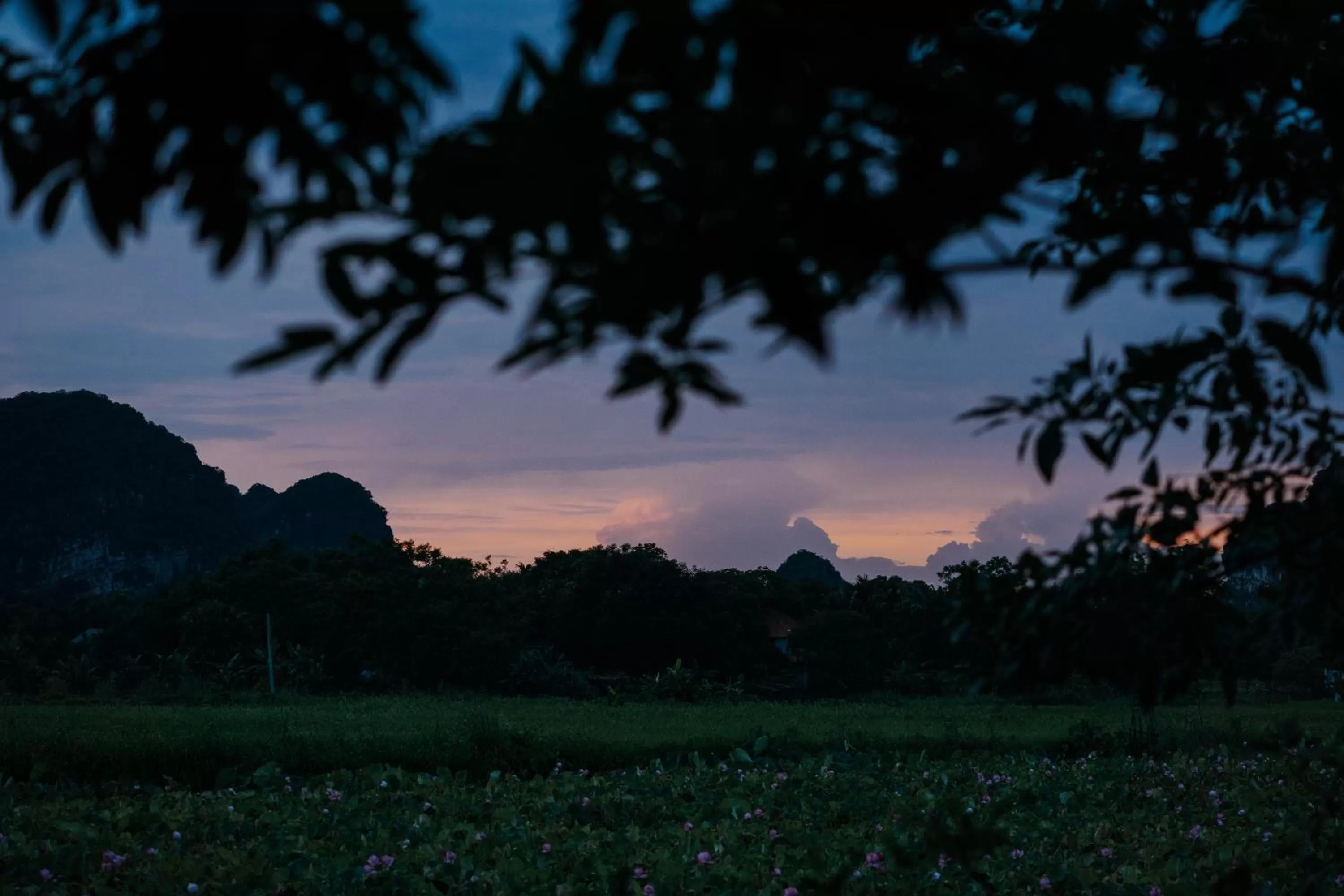 Natural landscape in Aravinda Resort Ninh Binh