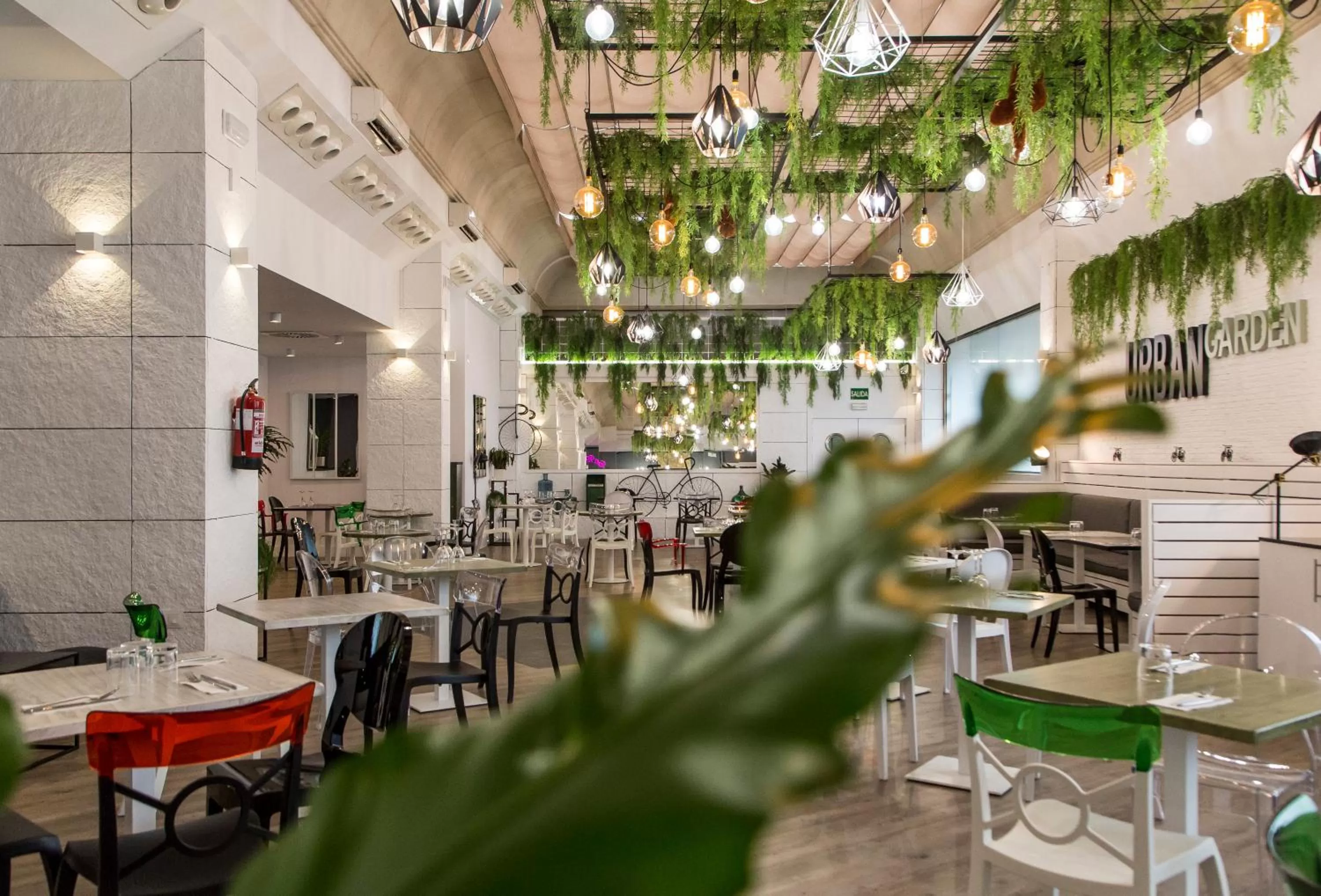 Restaurant/places to eat in Clement Barajas