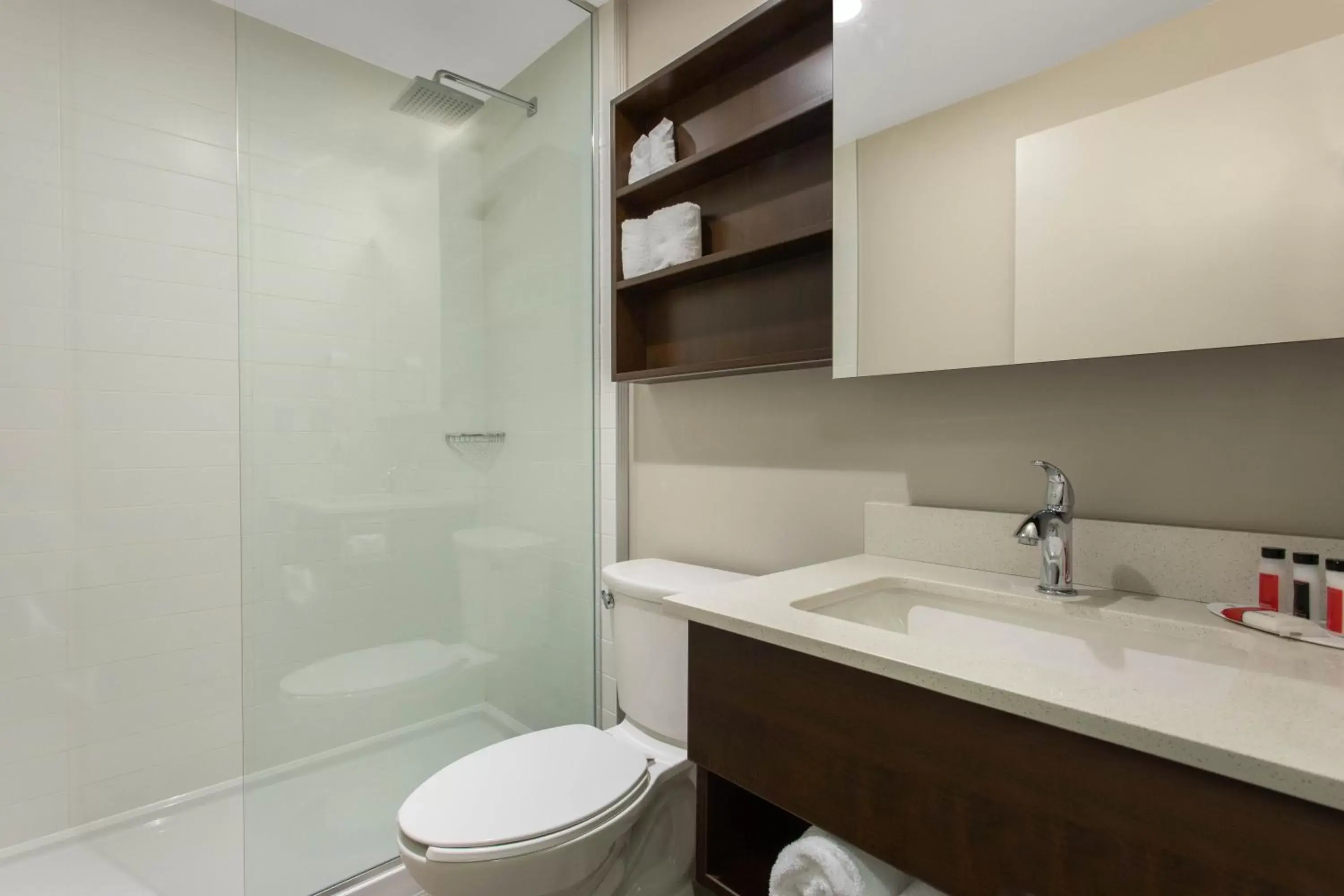 Shower, Bathroom in Microtel Inn & Suites by Wyndham Mont Tremblant