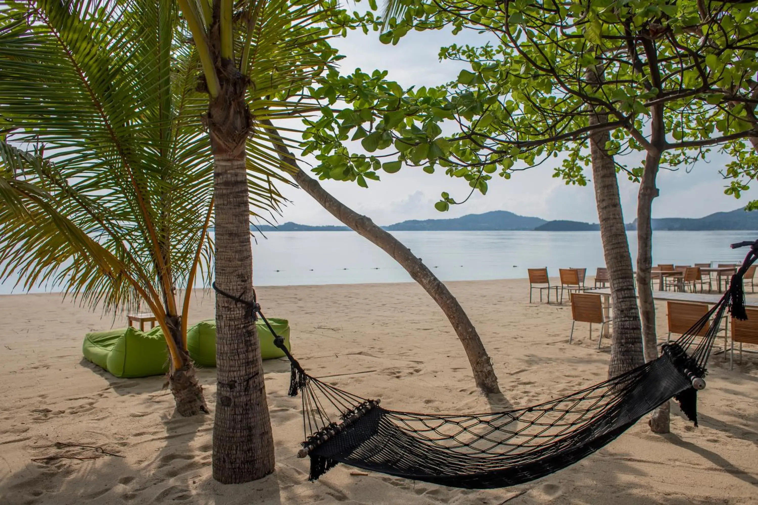 Lounge or bar, Beach in W Koh Samui