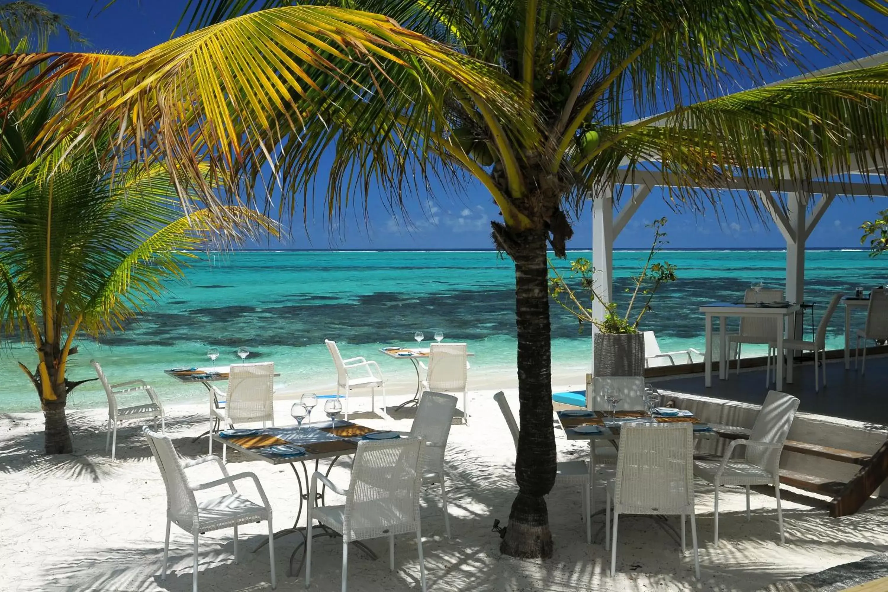 Restaurant/places to eat, Beach in Astroea Beach Hotel