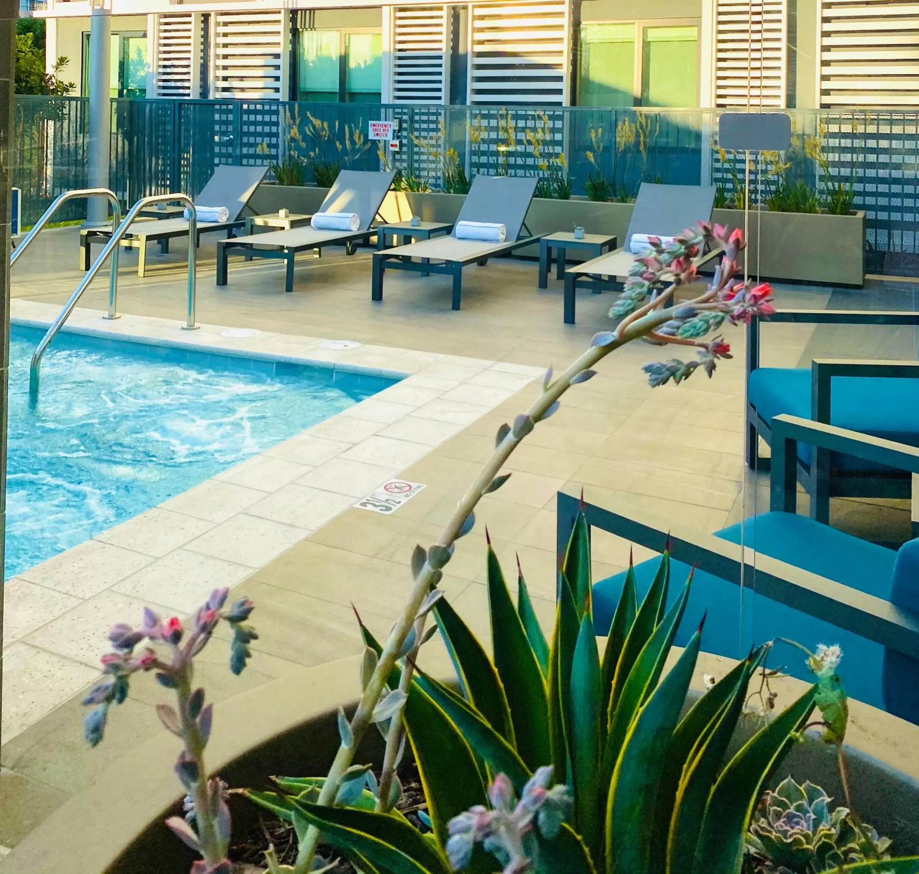 Hot Tub, Swimming Pool in Hotel Mariposa