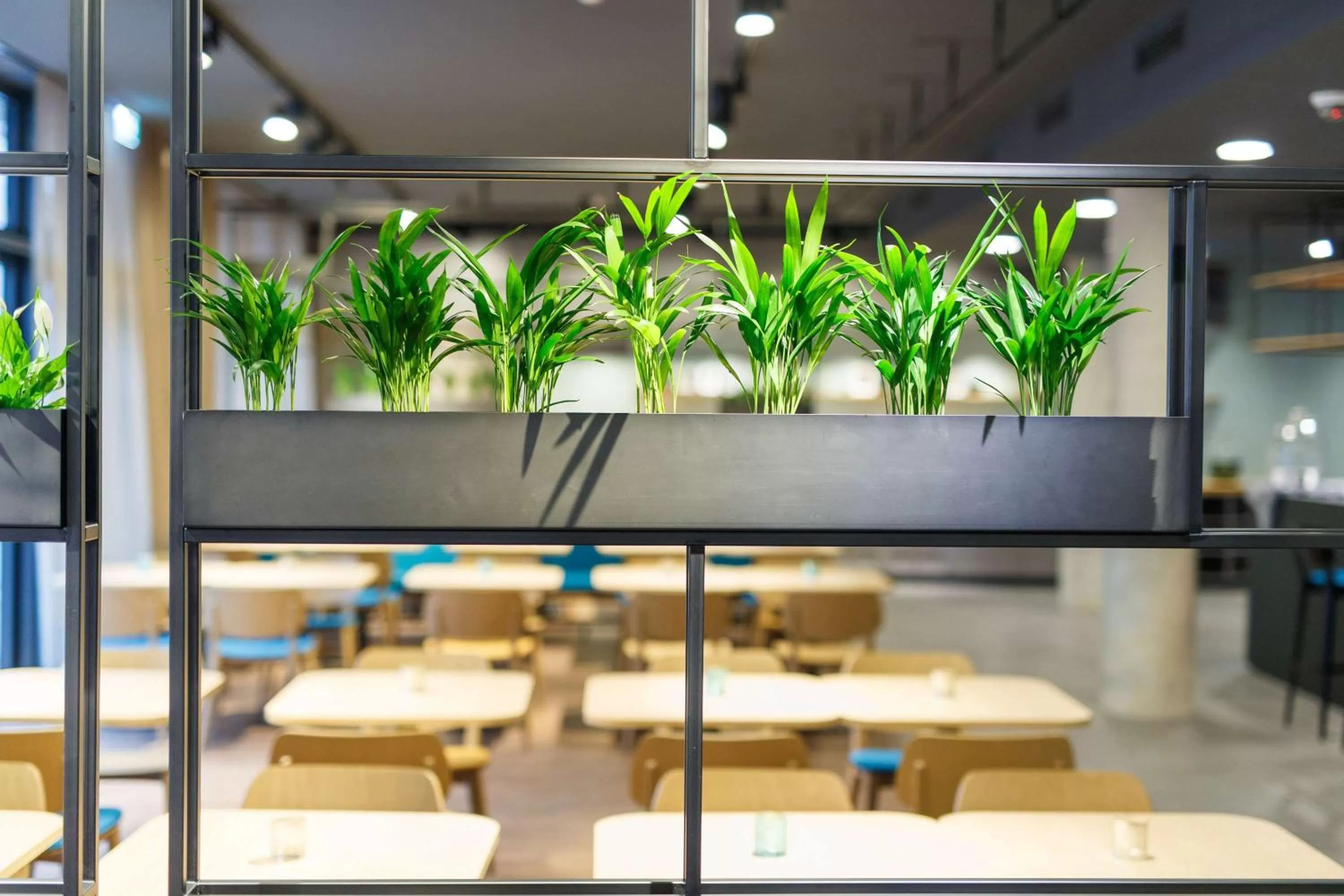 Restaurant/places to eat in elaya hotel goeppingen