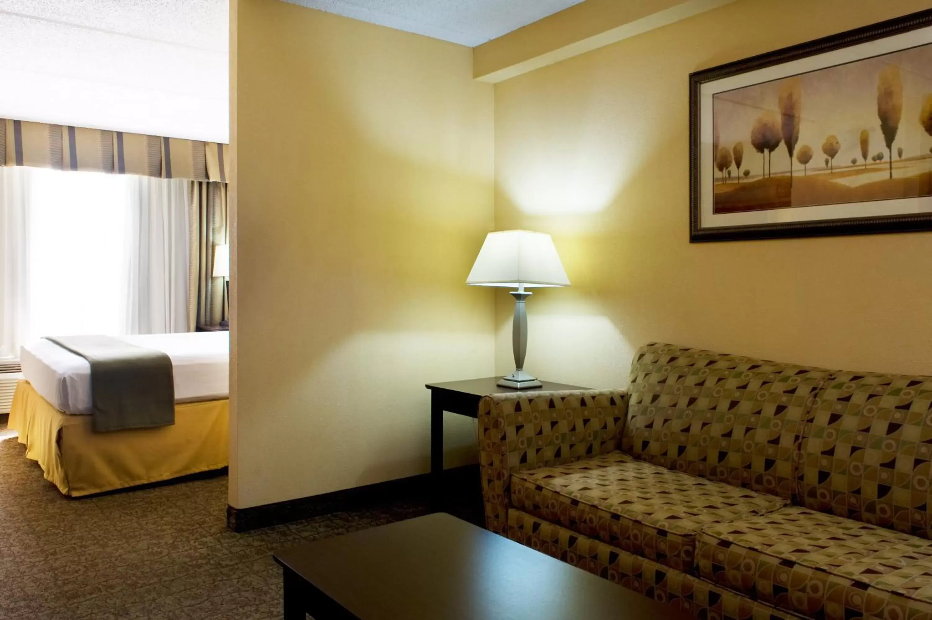 Photo of the whole room, Seating Area in Holiday Inn Express Hotel & Suites Dallas Fort Worth Airport South, an IHG Hotel