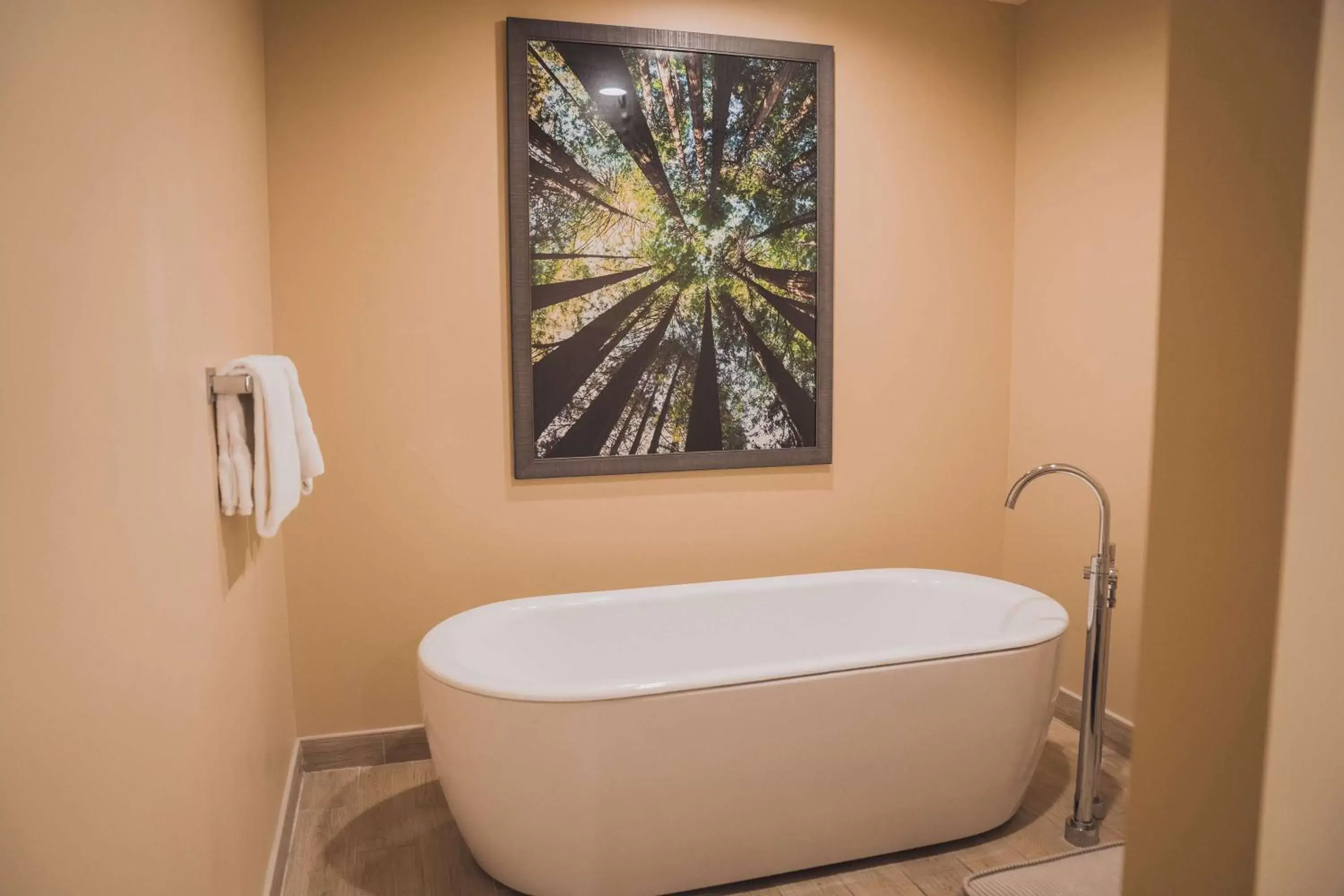 Bathroom in Tailwater Lodge Altmar, Tapestry Collection By Hilton