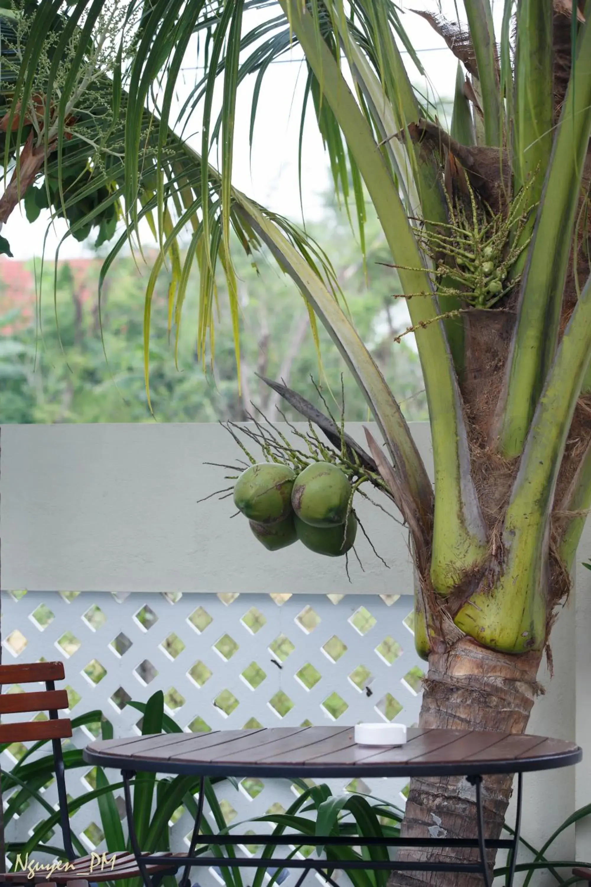 Garden in Gia Lam Villa Hoi An