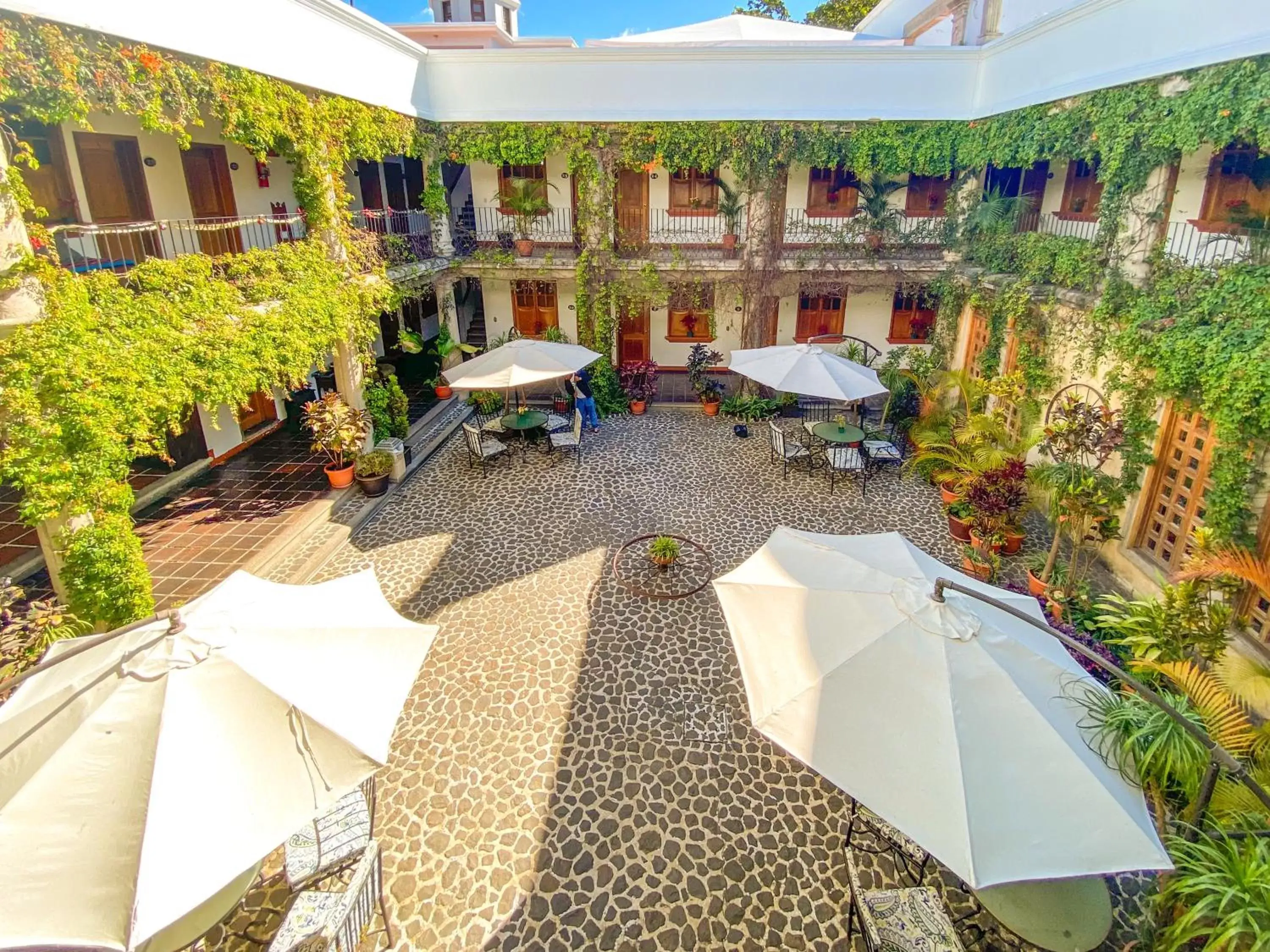 Patio, Pool View in El Carmen Suites